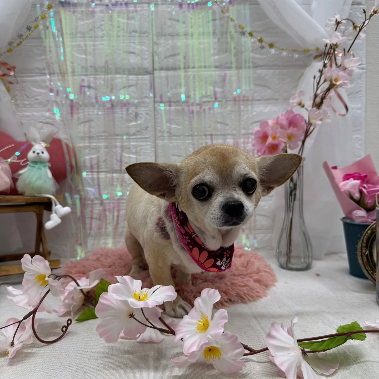 ๐ฐ๐ฐ๐ฐ๐ฐ๐ฐ๐ฐ๐ฐ