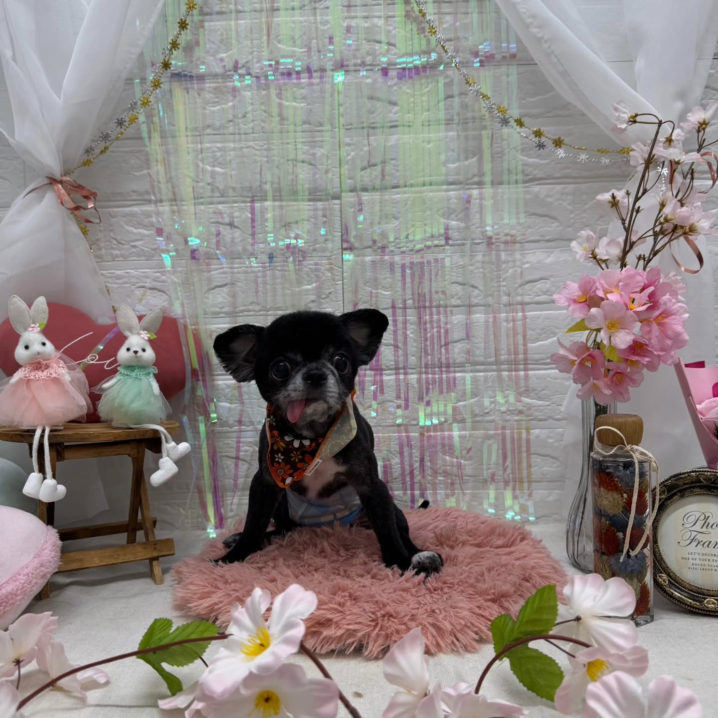 ๐ฐ๐ฐ๐ฐ๐ฐ๐ฐ๐ฐ๐ฐ