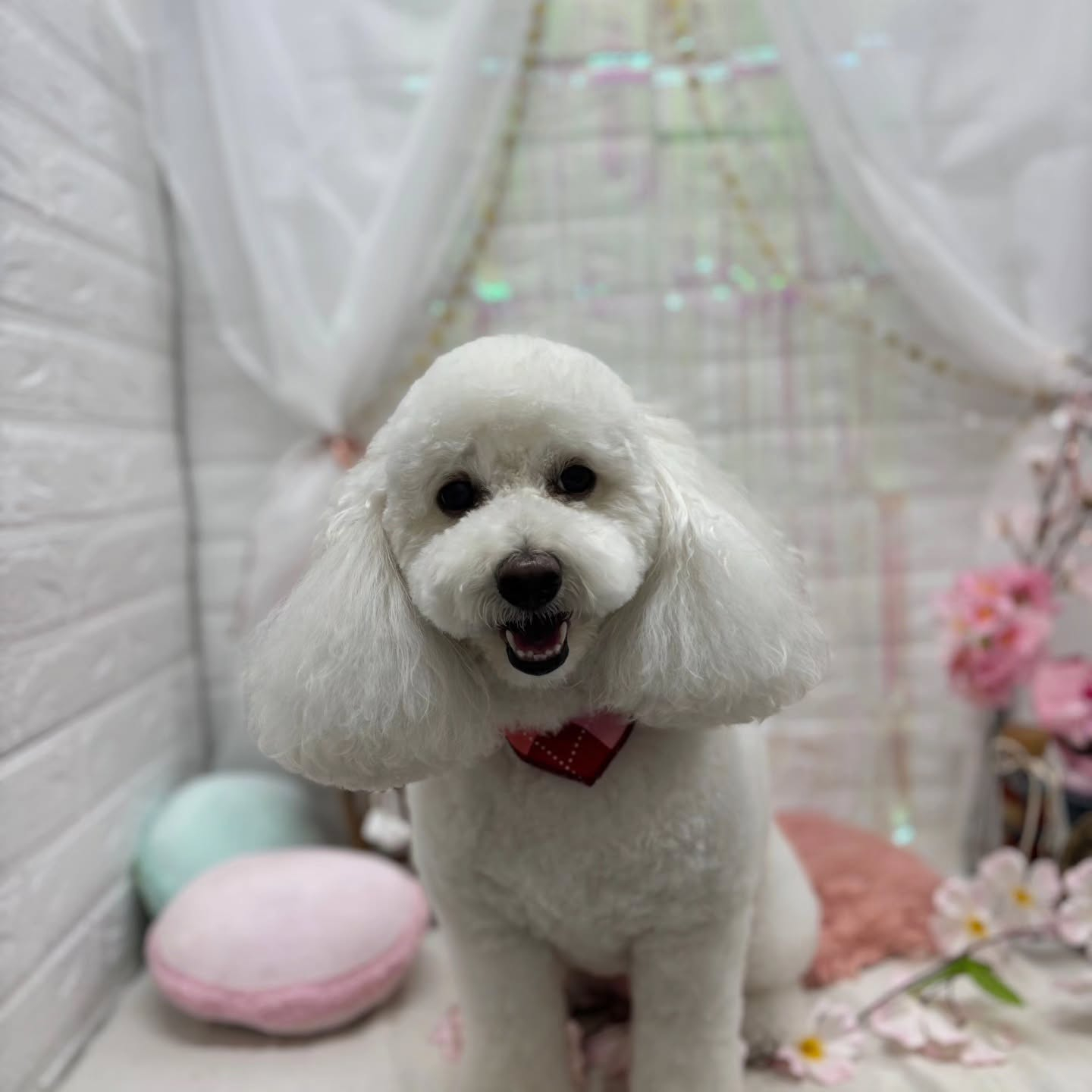 ⁡🐇🐇🐇🐇🐇🐇🐇🐇🐇🐇🐇🐇