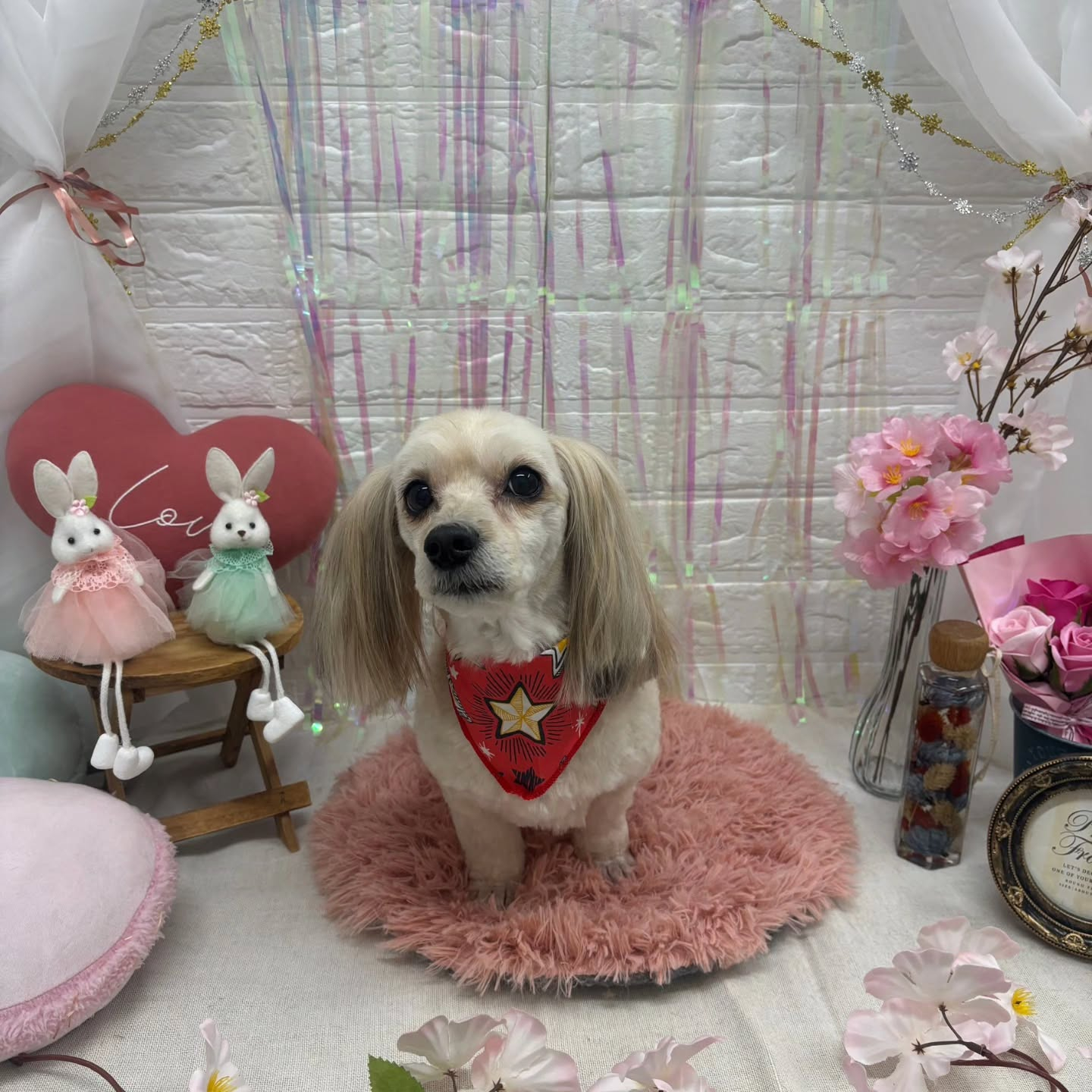 ⁡🐇🐇🐇🐇🐇🐇🐇🐇🐇🐇🐇🐇