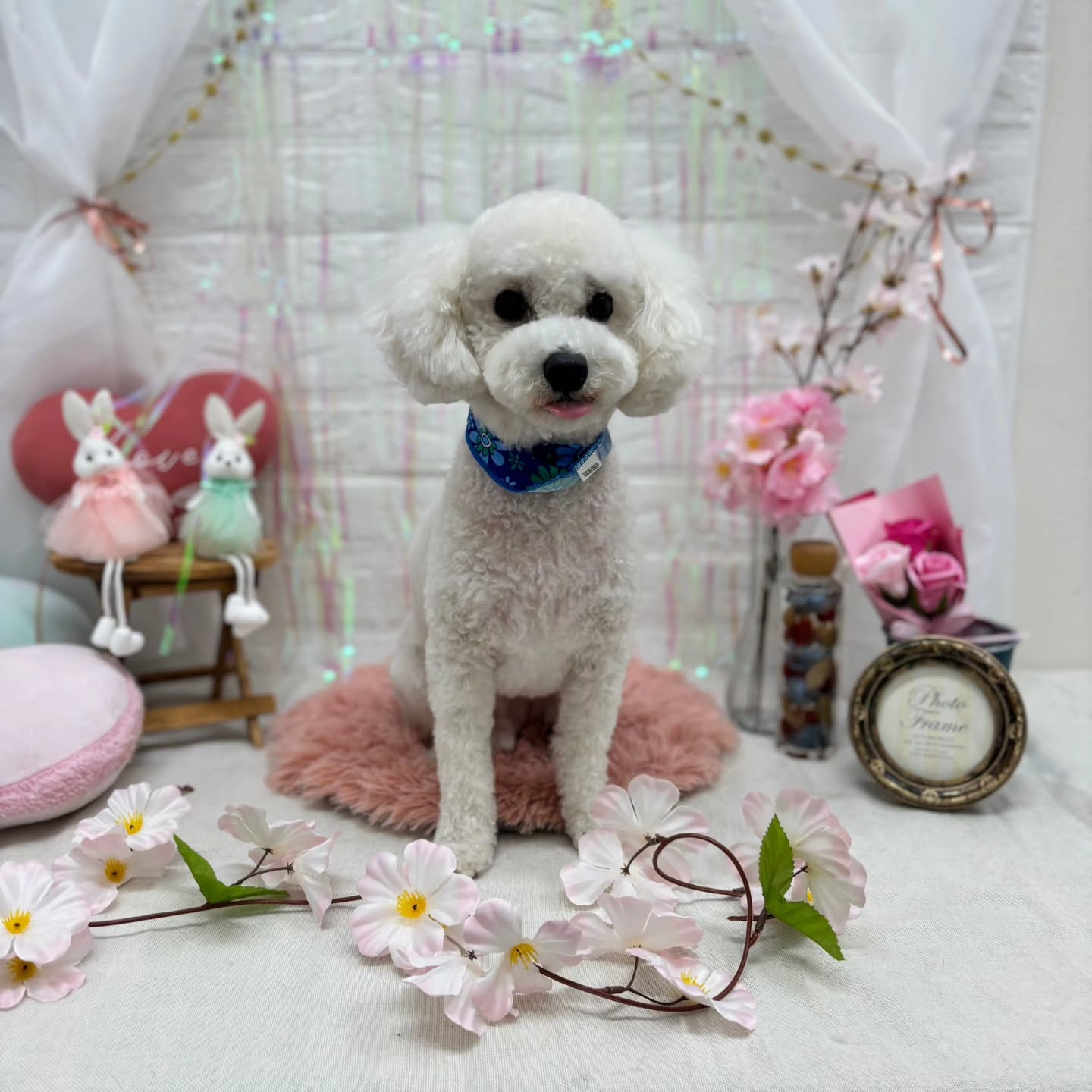 ๐ฐ๐ฐ๐ฐ๐ฐ๐ฐ๐ฐ๐ฐ๐ฐ๐ฐ๐ฐ