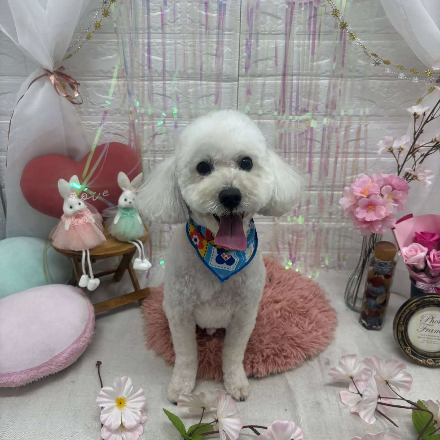 ๐ฐ๐ฐ๐ฐ๐ฐ๐ฐ๐ฐ๐ฐ๐ฐ๐ฐ๐ฐ