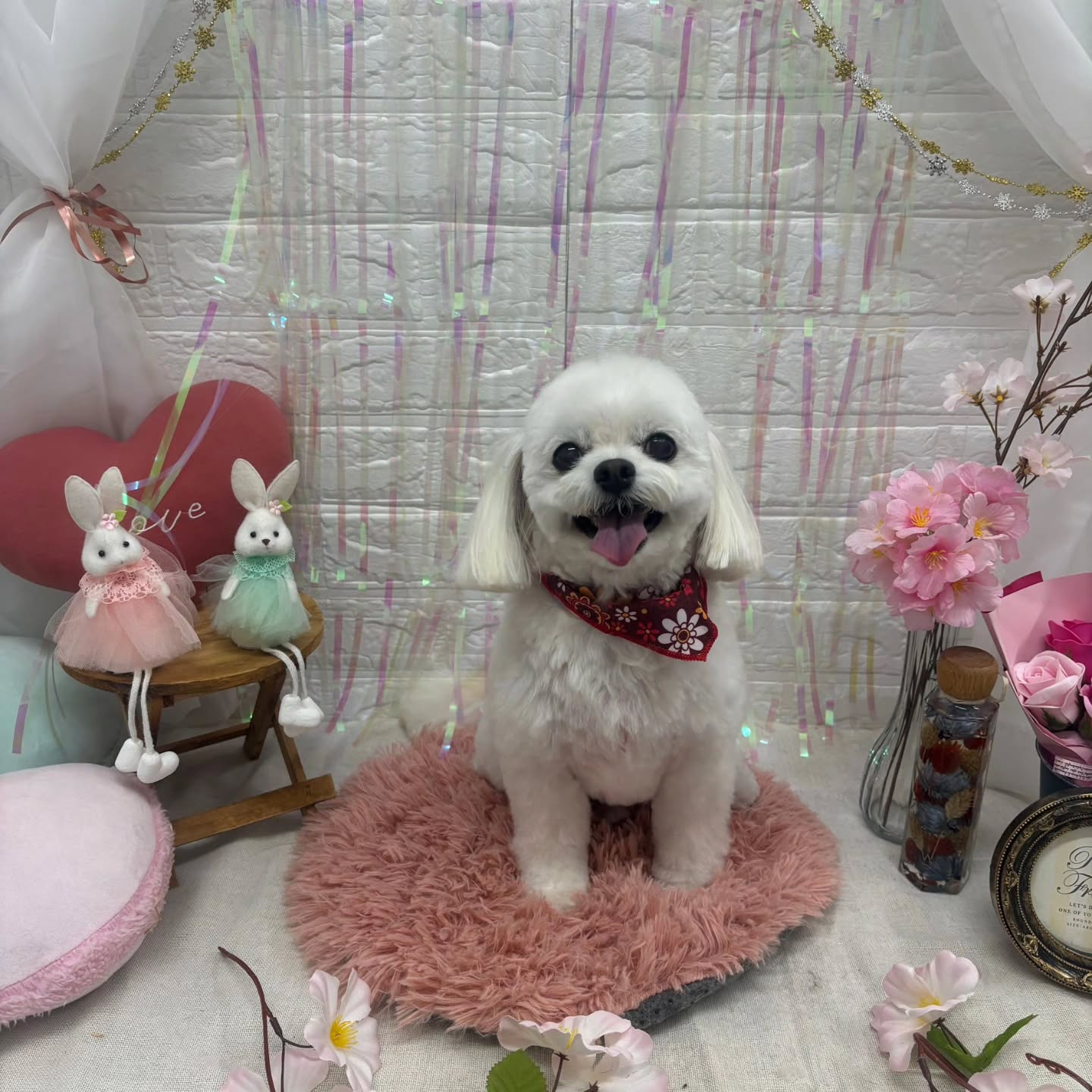 ๐ฐ๐ฐ๐ฐ๐ฐ๐ฐ๐ฐ๐ฐ๐ฐ๐ฐ๐ฐ