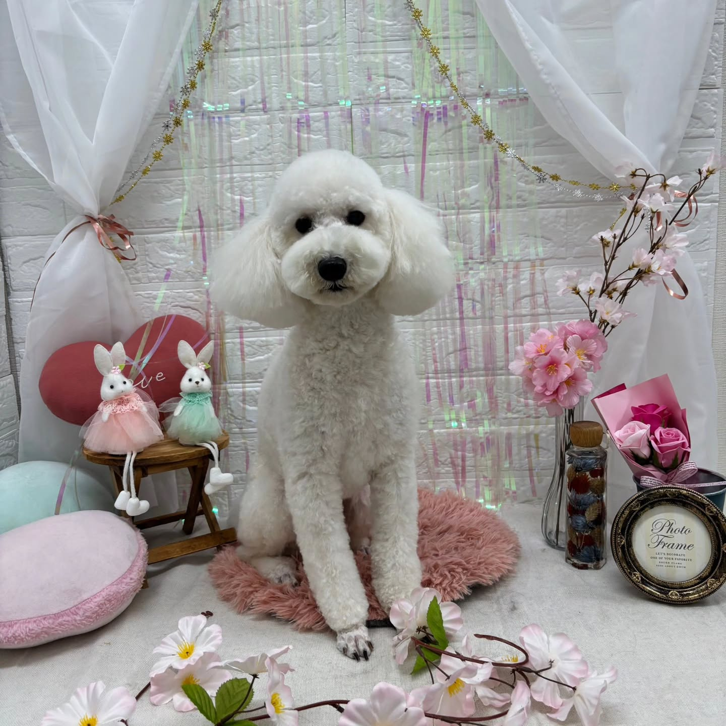 ๐ฐ๐ฐ๐ฐ๐ฐ๐ฐ๐ฐ๐ฐ๐ฐ๐ฐ๐ฐ