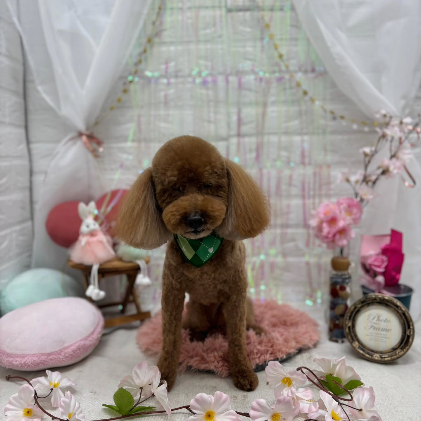 ๐ฐ๐ฐ๐ฐ๐ฐ๐ฐ๐ฐ๐ฐ๐ฐ๐ฐ๐ฐ