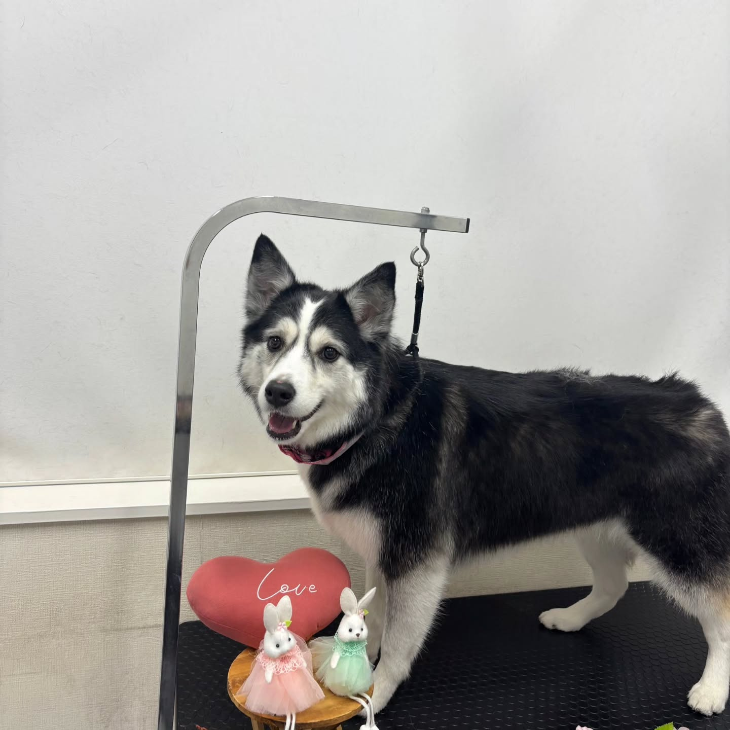 ๐ฐ๐ฐ๐ฐ๐ฐ๐ฐ๐ฐ๐ฐ๐ฐ๐ฐ๐ฐ