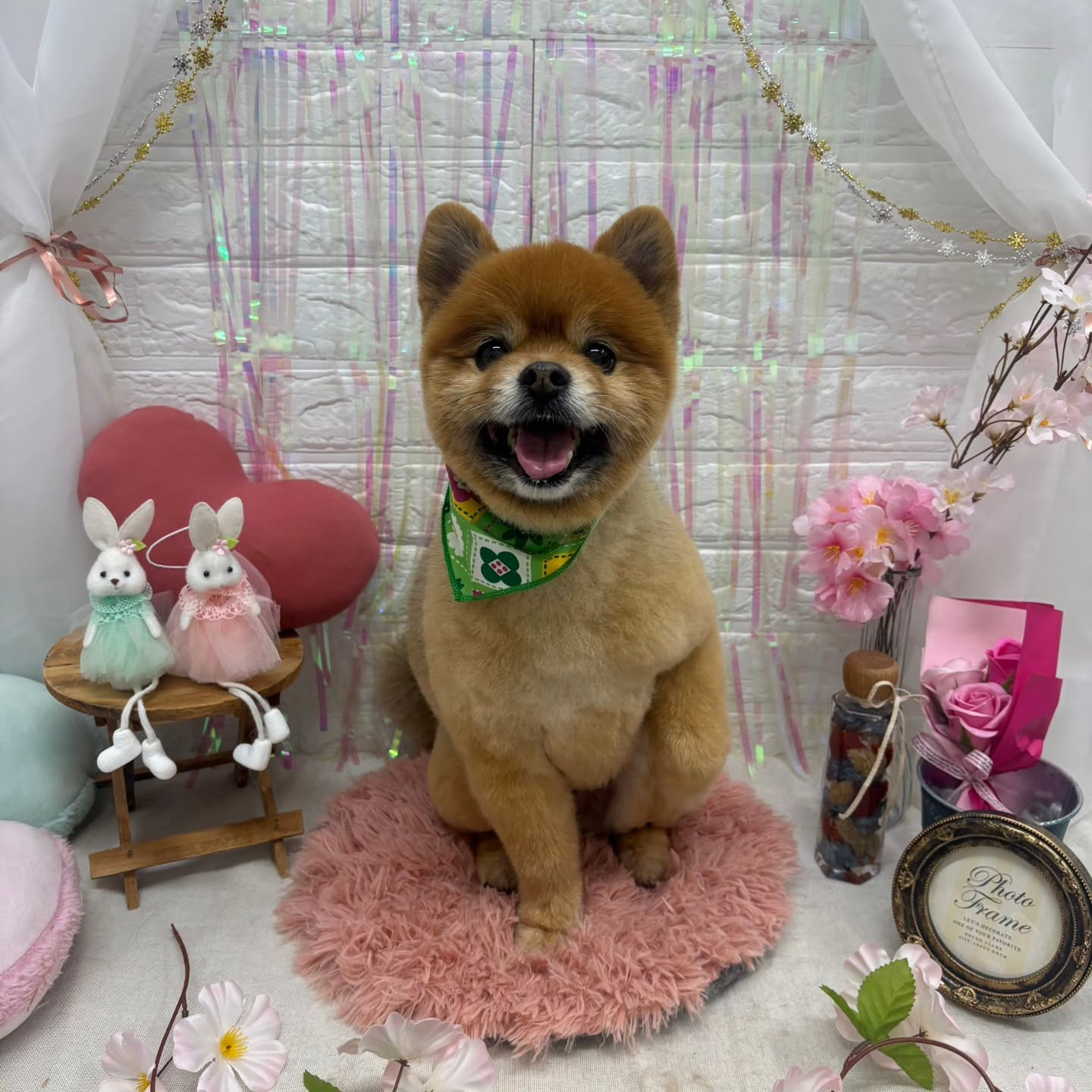 🐰🐰🐰🐰🐰🐰🐰🐰⁡