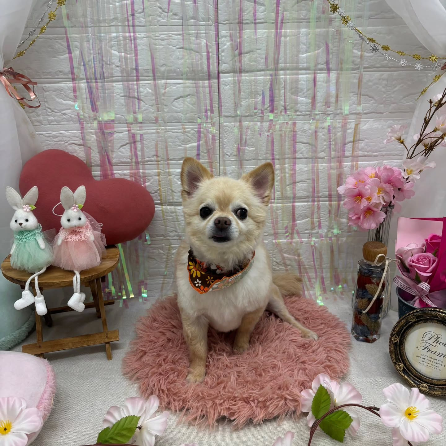 ๐ฐ๐ฐ๐ฐ๐ฐ๐ฐ๐ฐ๐ฐ๐ฐ๐ฐ๐ฐ