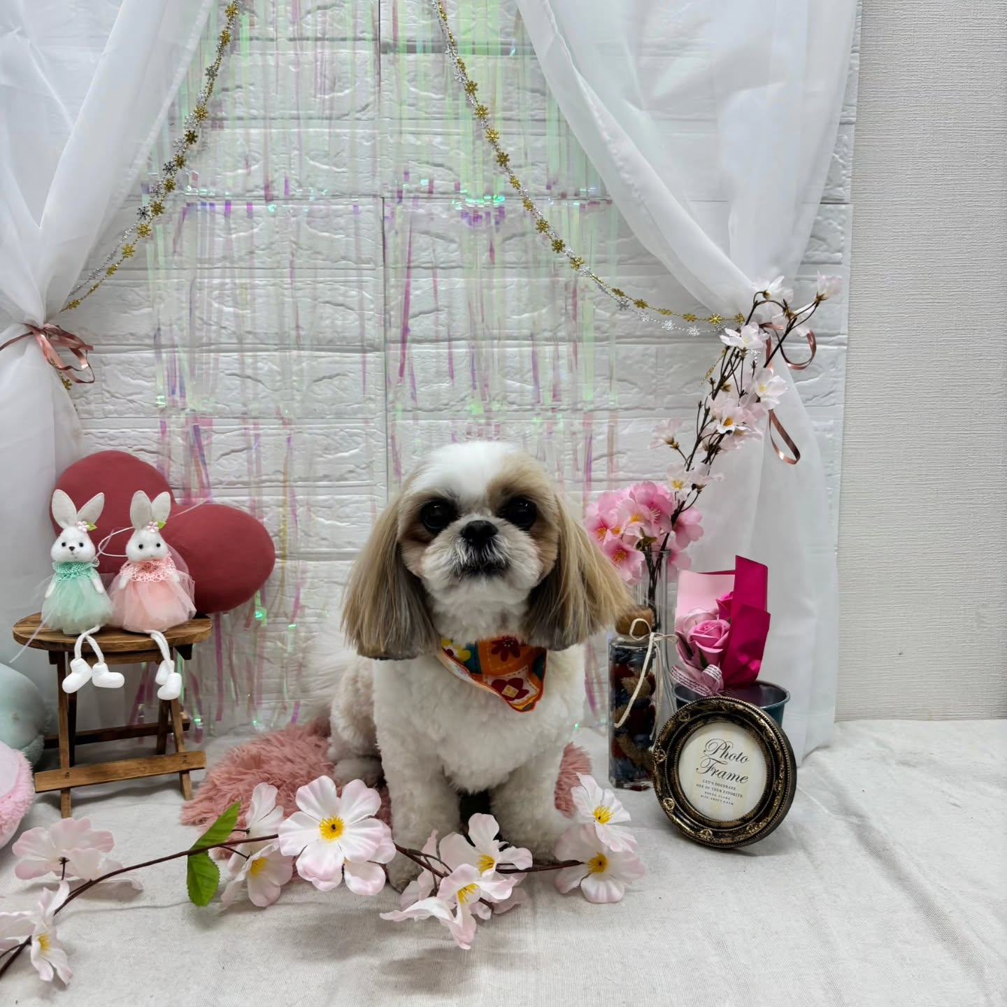 ๐ฐ๐ฐ๐ฐ๐ฐ๐ฐ๐ฐ๐ฐ๐ฐ๐ฐ๐ฐ