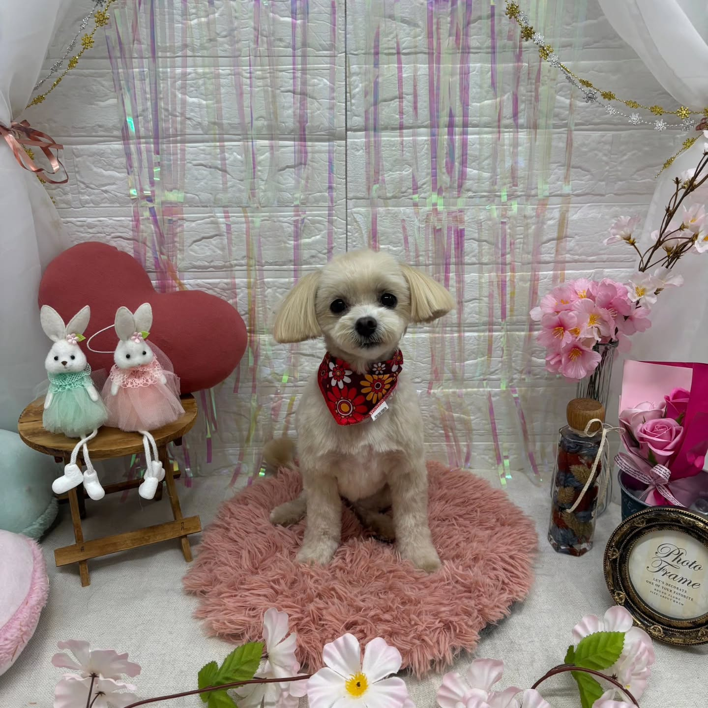 ๐ฐ๐ฐ๐ฐ๐ฐ๐ฐ๐ฐ๐ฐ๐ฐ๐ฐ๐ฐ