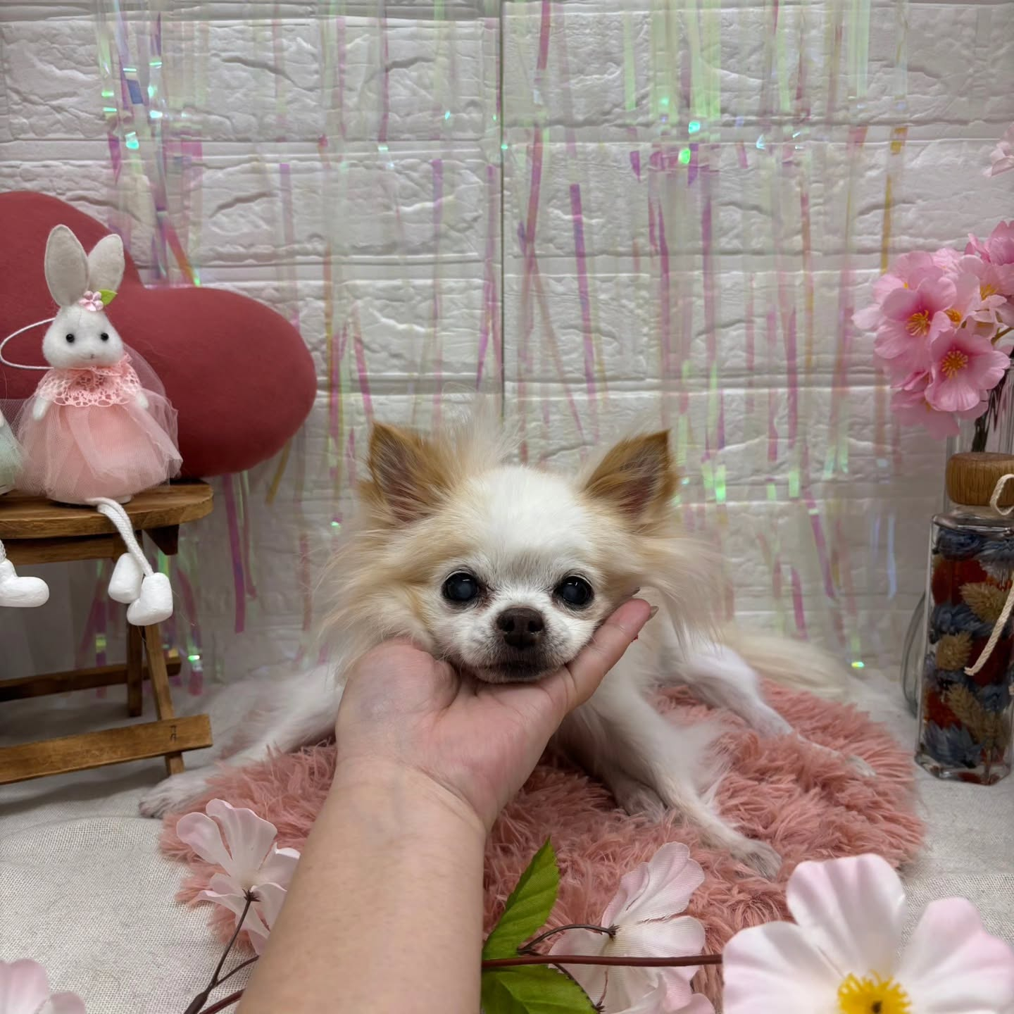 ๐ฐ๐ฐ๐ฐ๐ฐ๐ฐ๐ฐ๐ฐ๐ฐ๐ฐ๐ฐ