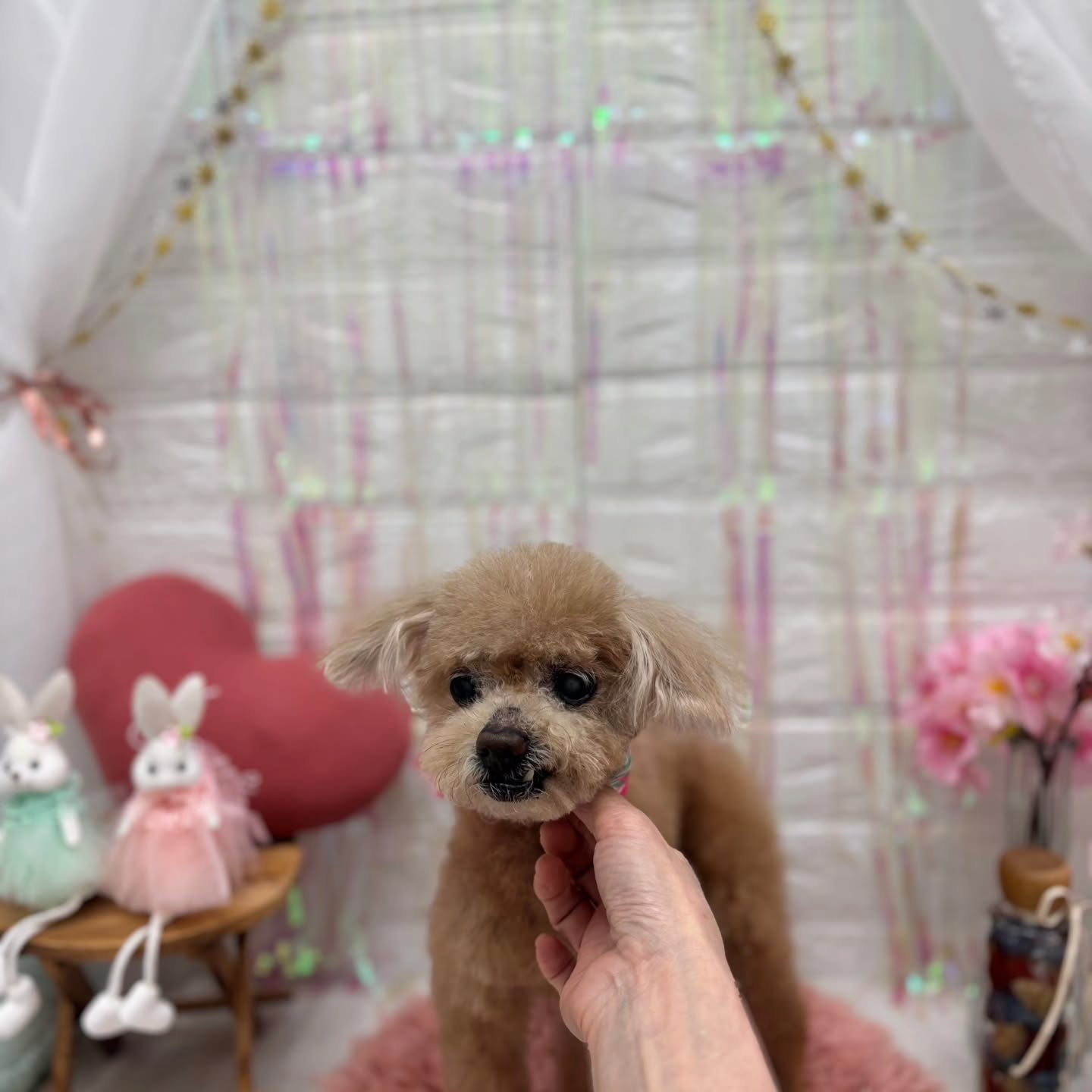 ๐ฐ๐ฐ๐ฐ๐ฐ๐ฐ๐ฐ๐ฐ๐ฐ๐ฐ๐ฐ