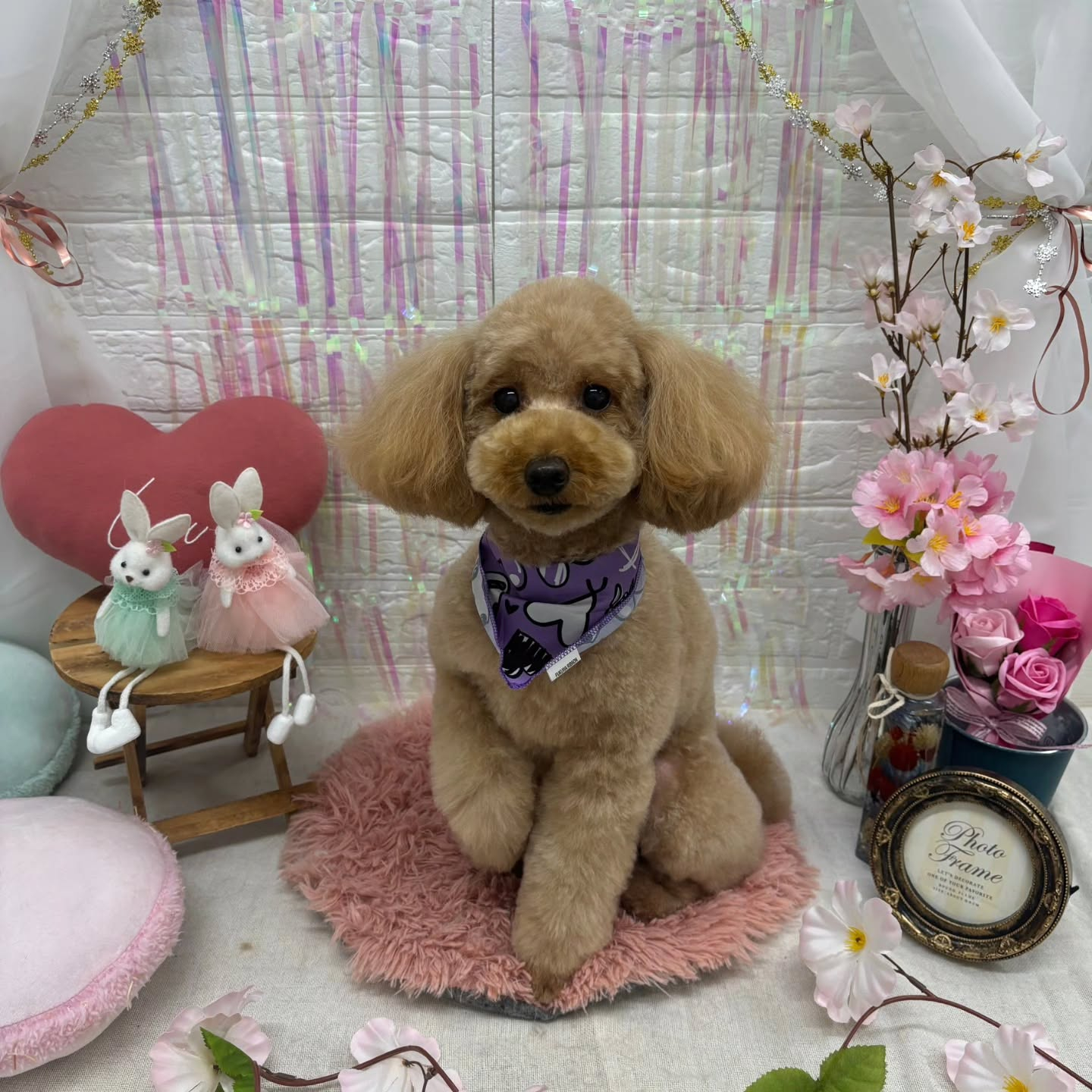 ๐ฐ๐ฐ๐ฐ๐ฐ๐ฐ๐ฐ๐ฐ๐ฐ๐ฐ