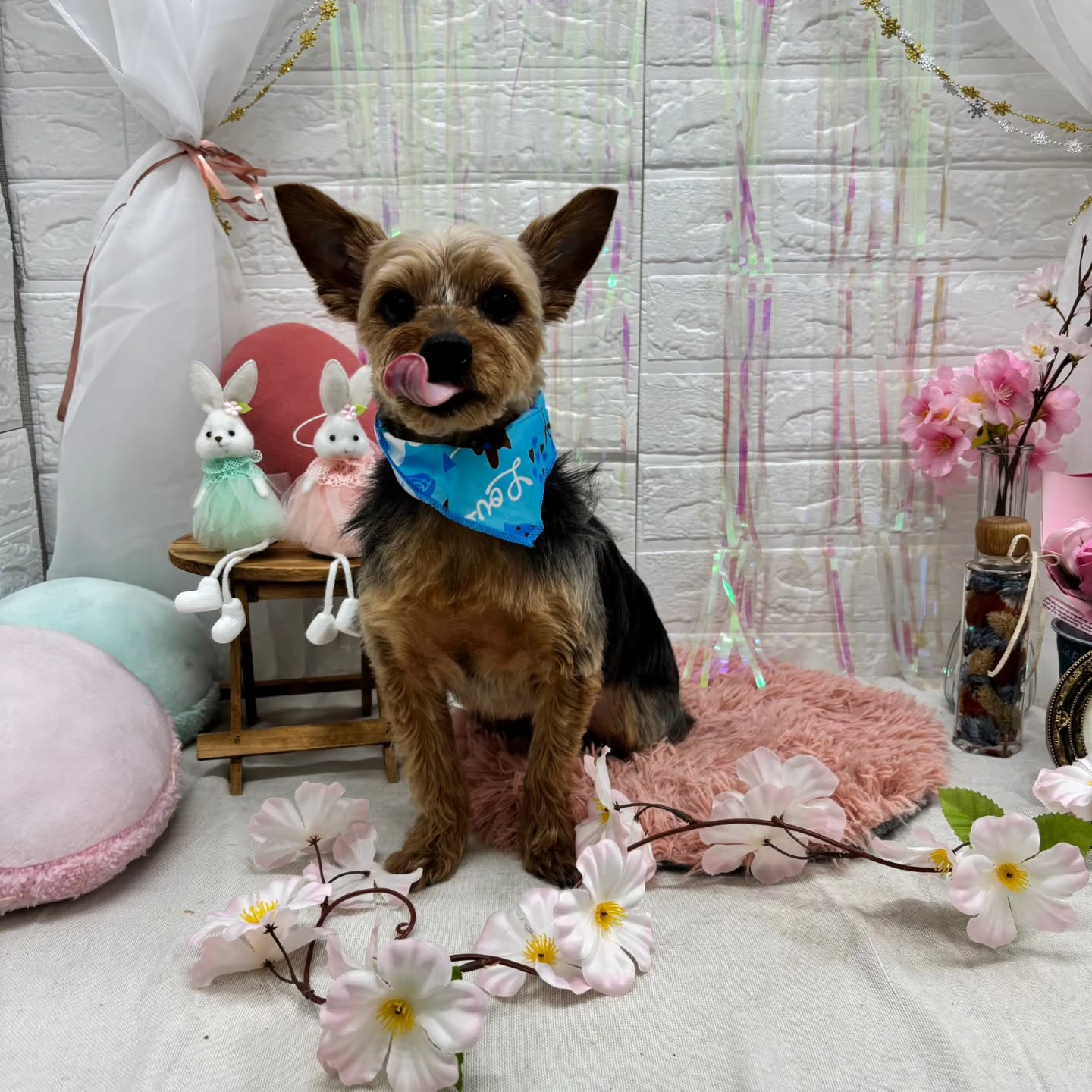 ๐ฐ๐ฐ๐ฐ๐ฐ๐ฐ๐ฐ๐ฐ๐ฐ๐ฐ