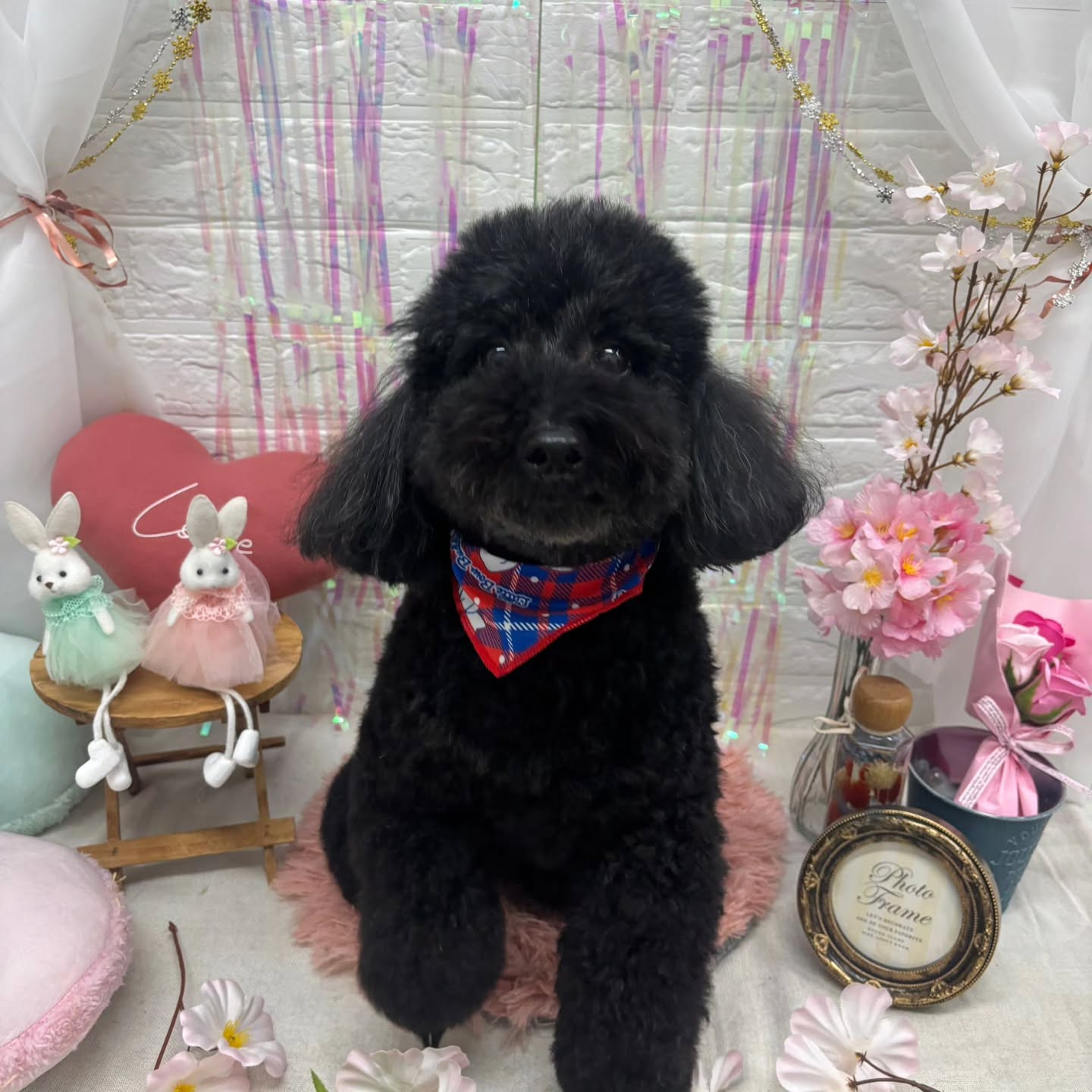 ๐ฐ๐ฐ๐ฐ๐ฐ๐ฐ๐ฐ๐ฐ๐ฐ๐ฐ