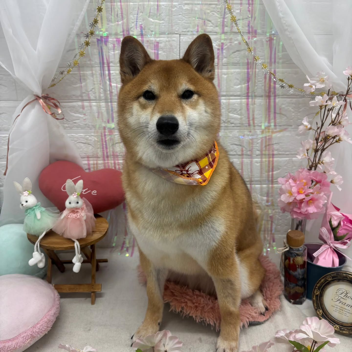 ๐ฐ๐ฐ๐ฐ๐ฐ๐ฐ๐ฐ๐ฐ๐ฐ๐ฐ