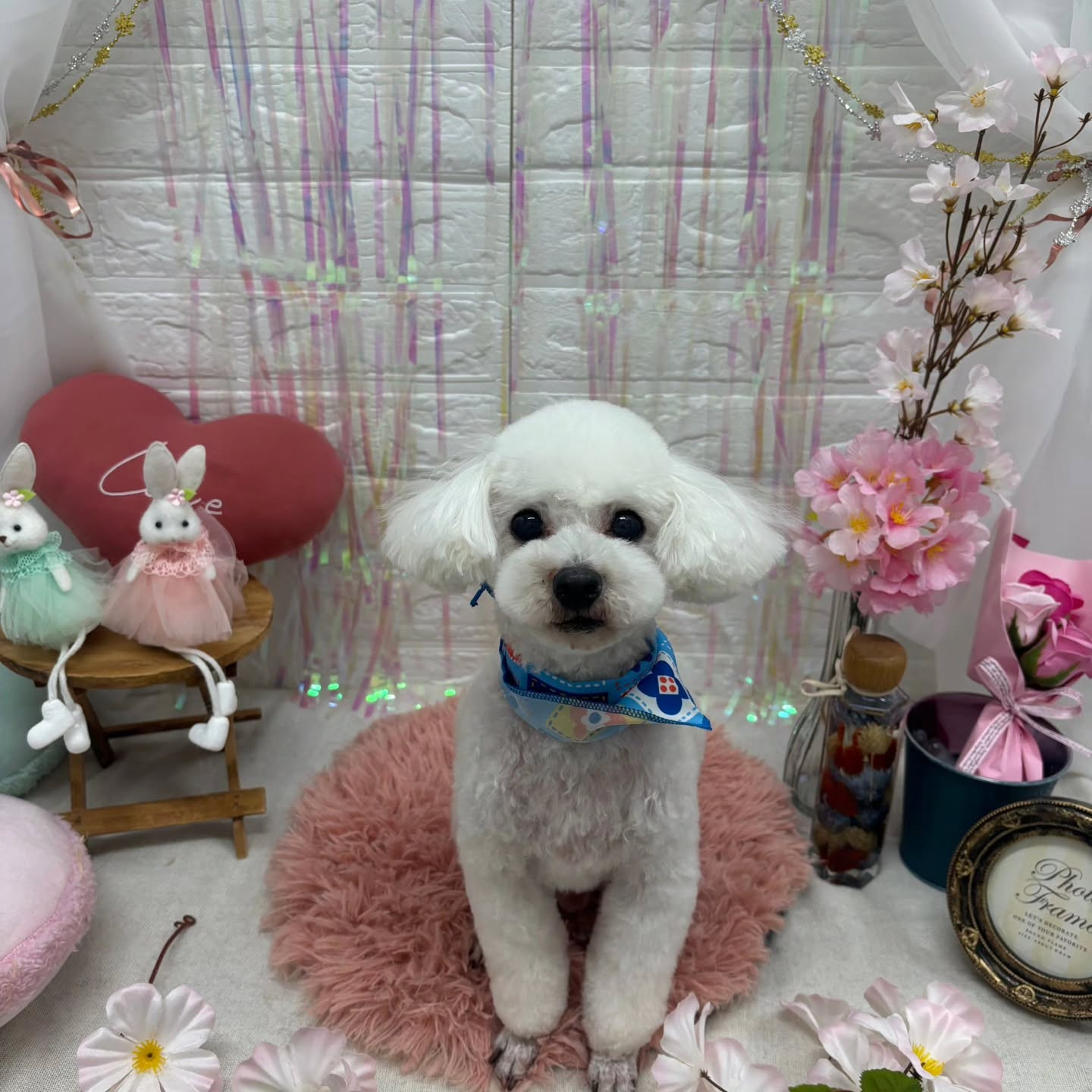 ๐ฐ๐ฐ๐ฐ๐ฐ๐ฐ๐ฐ๐ฐ๐ฐ๐ฐ