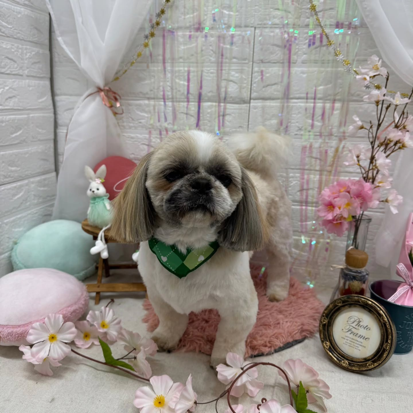 ๐ฐ๐ฐ๐ฐ๐ฐ๐ฐ๐ฐ๐ฐ๐ฐ๐ฐ