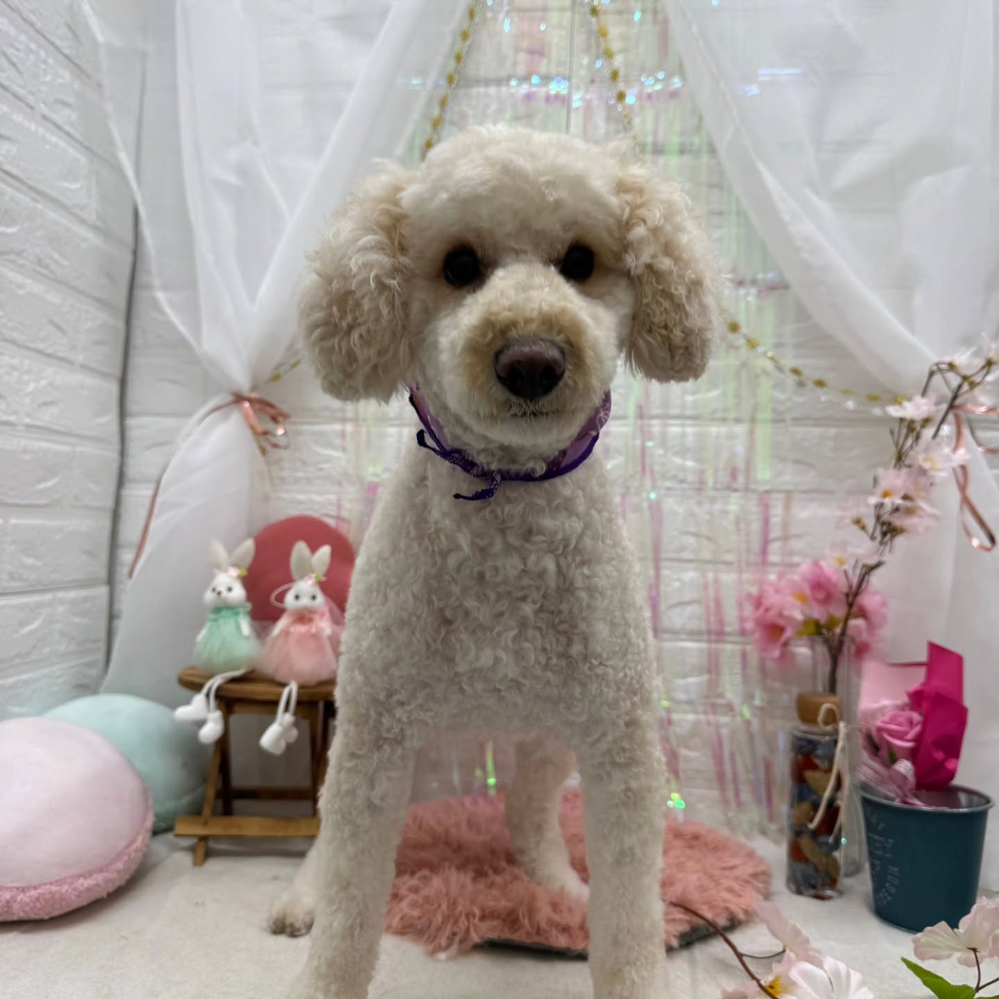 ๐ฐ๐ฐ๐ฐ๐ฐ๐ฐ๐ฐ๐ฐ๐ฐ๐ฐ