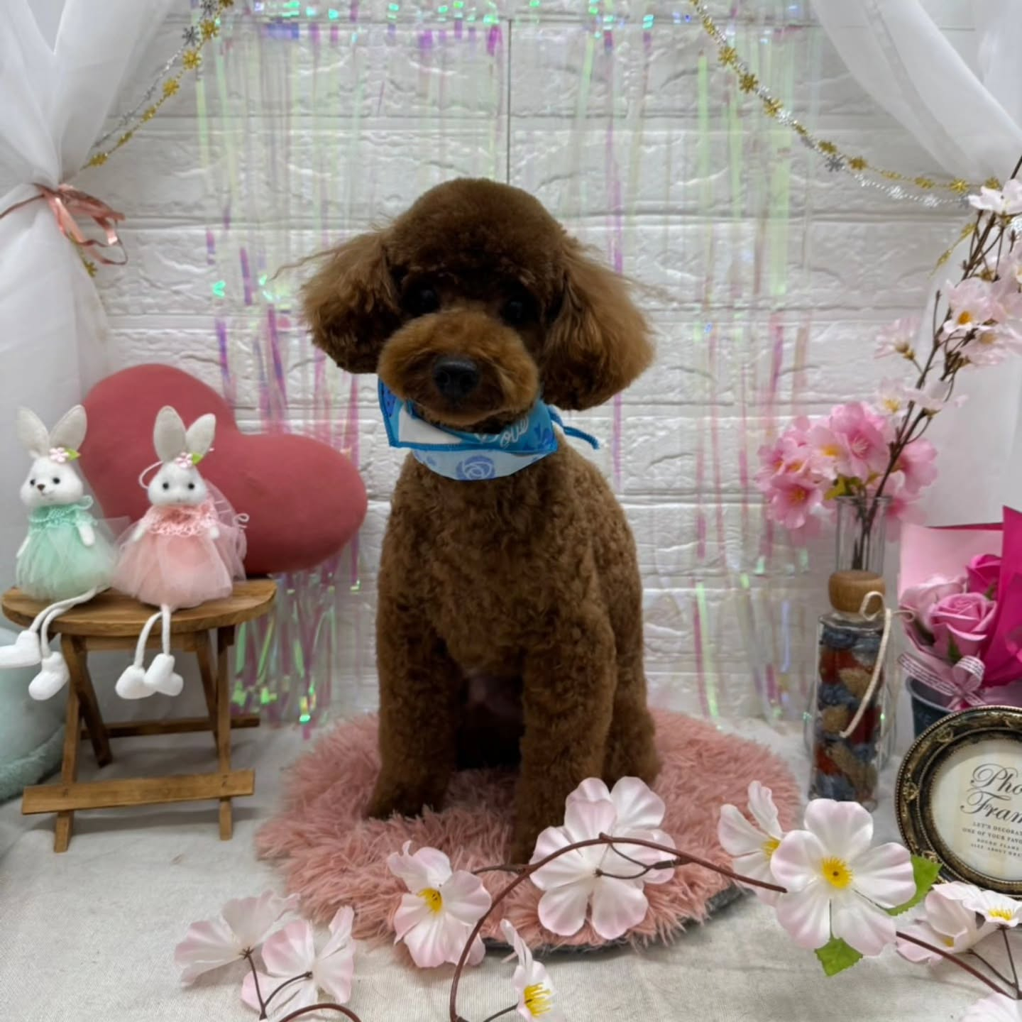 ๐ฐ๐ฐ๐ฐ๐ฐ๐ฐ๐ฐ๐ฐ๐ฐ๐ฐ