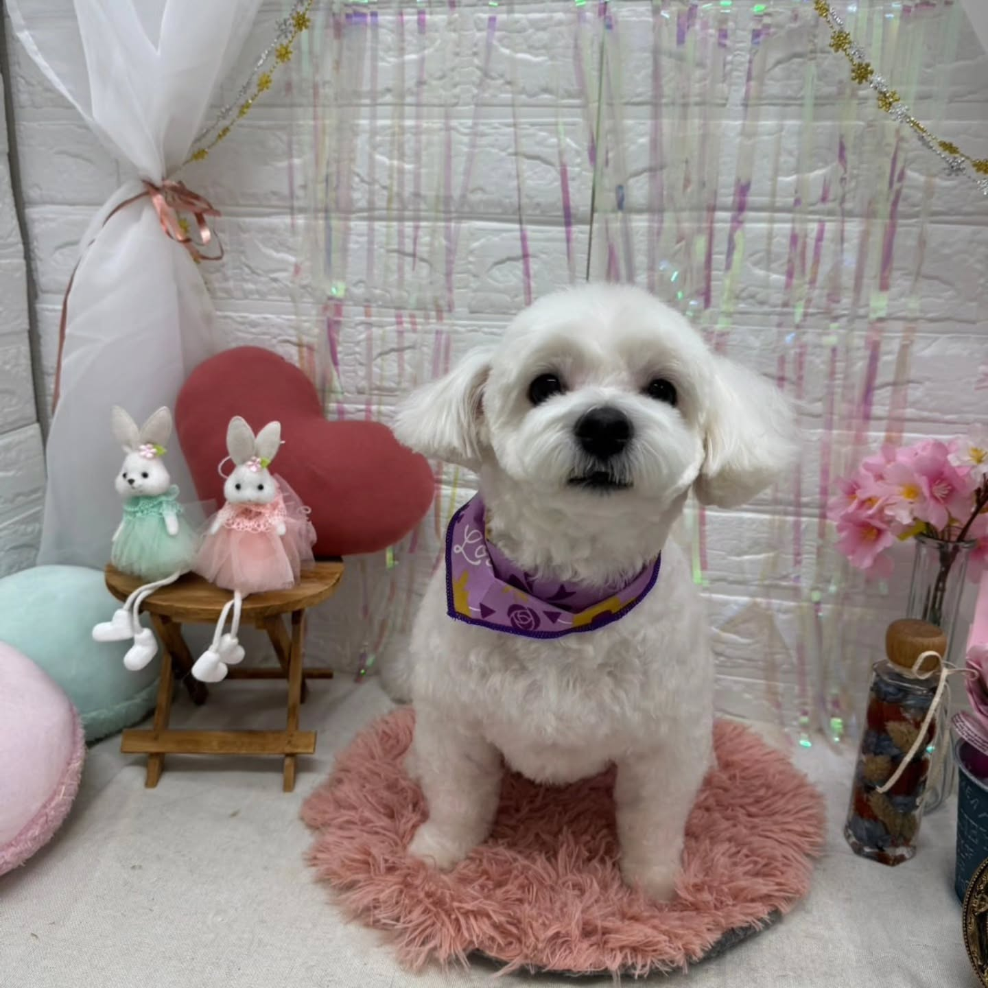 ๐ฐ๐ฐ๐ฐ๐ฐ๐ฐ๐ฐ๐ฐ๐ฐ๐ฐ