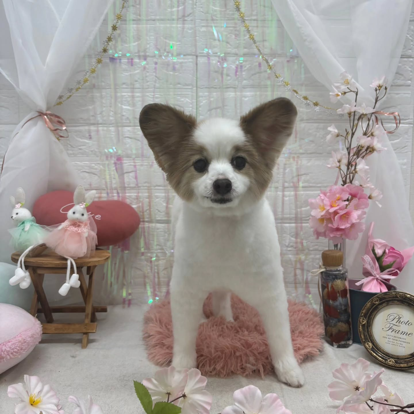 ๐ฐ๐ฐ๐ฐ๐ฐ๐ฐ๐ฐ๐ฐ๐ฐ๐ฐ