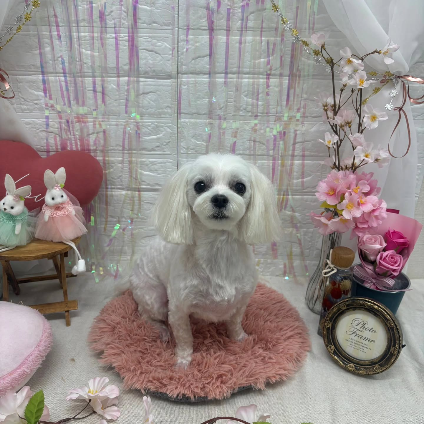 ๐ฐ๐ฐ๐ฐ๐ฐ๐ฐ๐ฐ๐ฐ๐ฐ๐ฐ