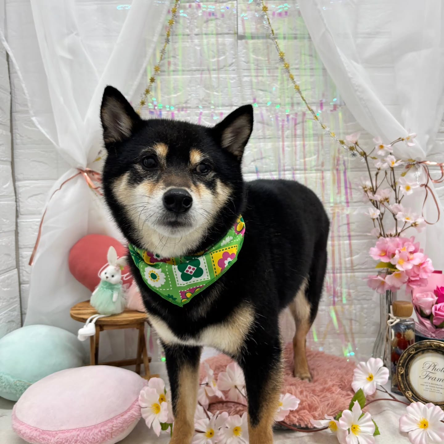 ๐ฐ๐ฐ๐ฐ๐ฐ๐ฐ๐ฐ๐ฐ๐ฐ๐ฐ