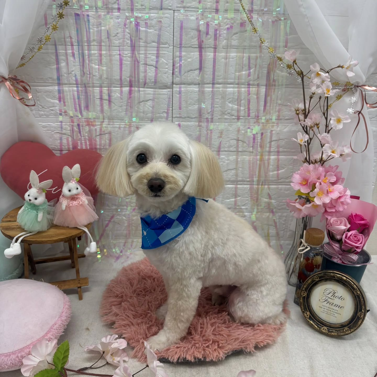 ๐ฐ๐ฐ๐ฐ๐ฐ๐ฐ๐ฐ๐ฐ๐ฐ๐ฐ