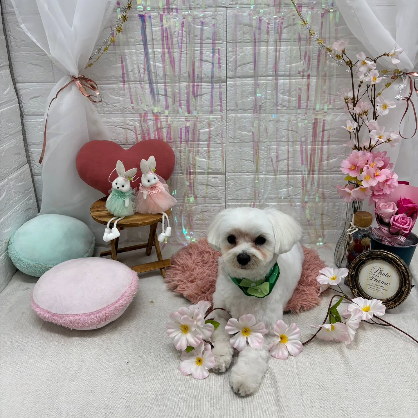 ๐ฐ๐ฐ๐ฐ๐ฐ๐ฐ๐ฐ๐ฐ๐ฐ๐ฐ