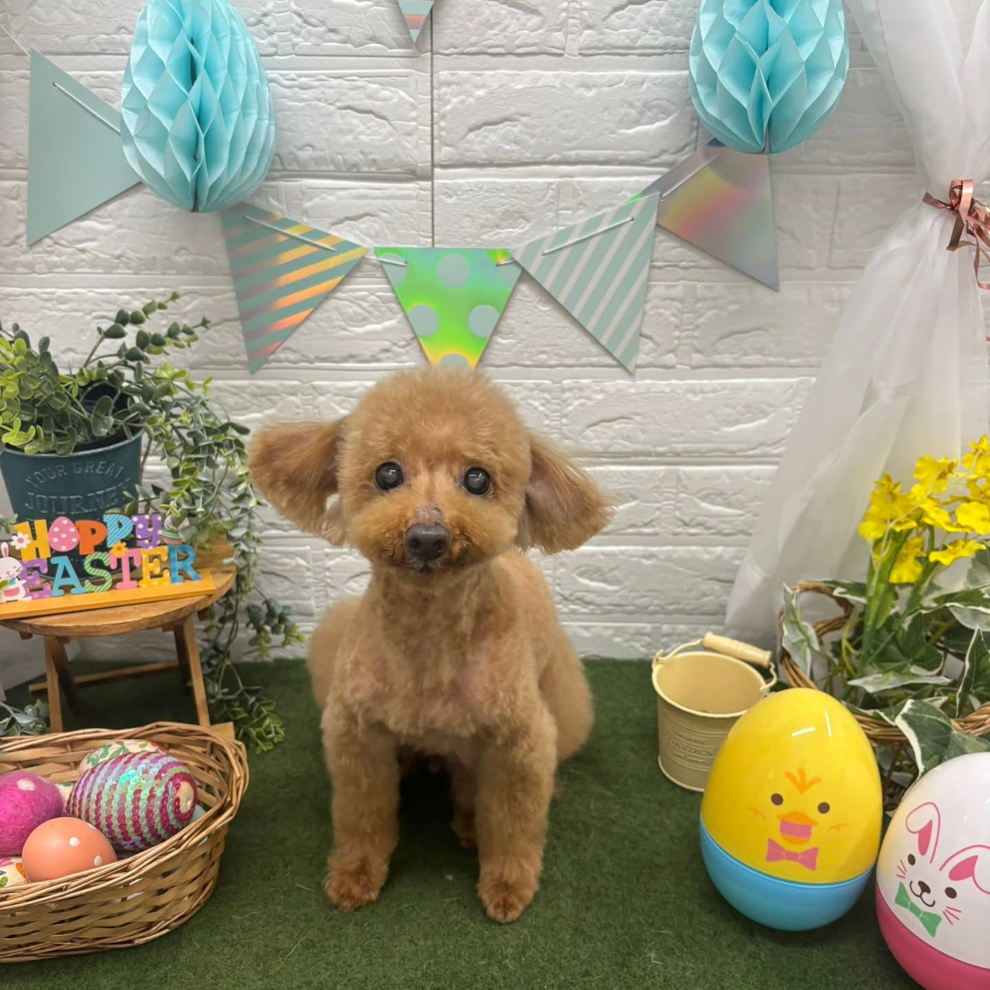 ๐ฅ๐ฅ๐ฅ๐ฅ๐ฅ๐ฅ๐ฅ๐ฅ๐ฅ๐ฅ