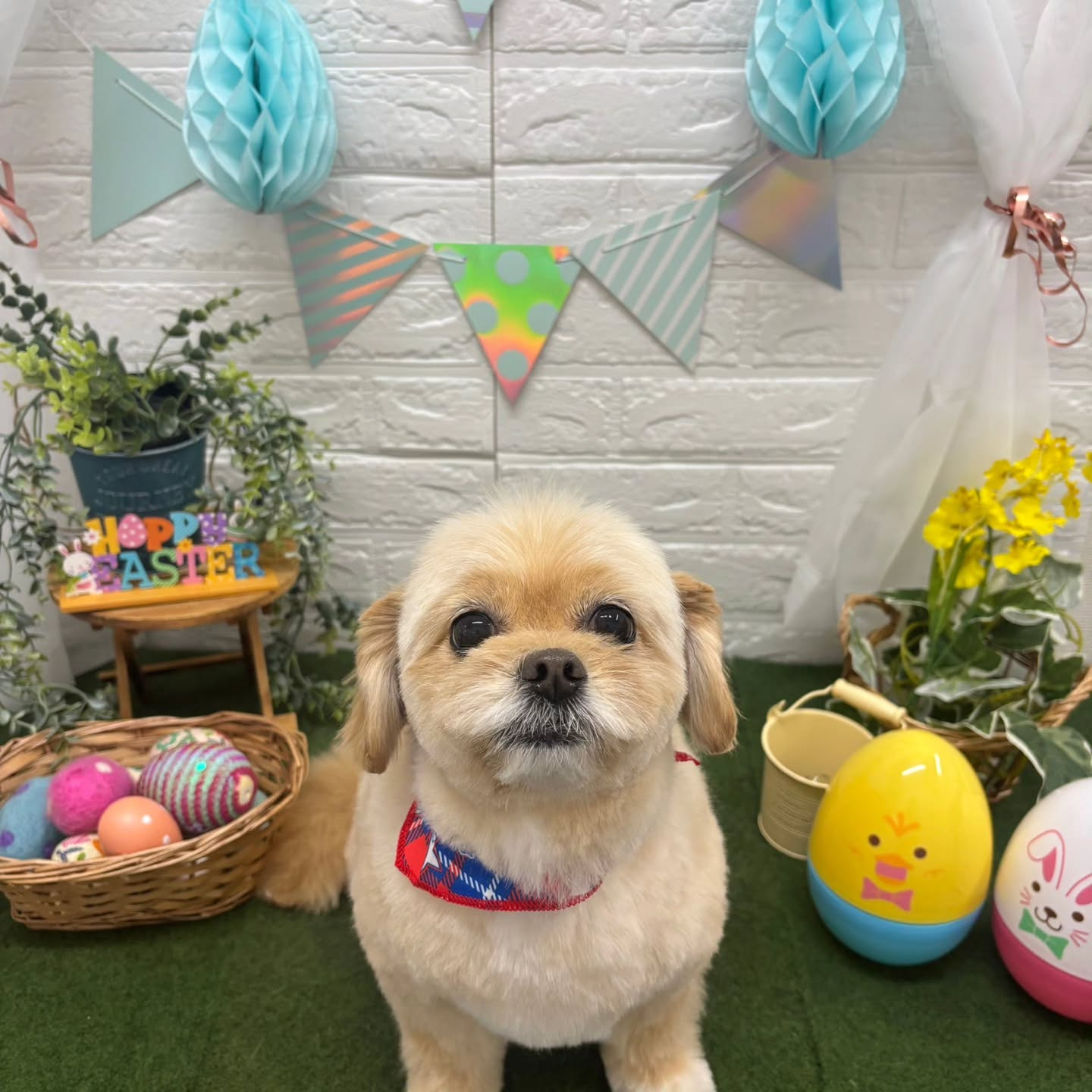 ๐ฅ๐ฅ๐ฅ๐ฅ๐ฅ๐ฅ๐ฅ๐ฅ๐ฅ๐ฅ