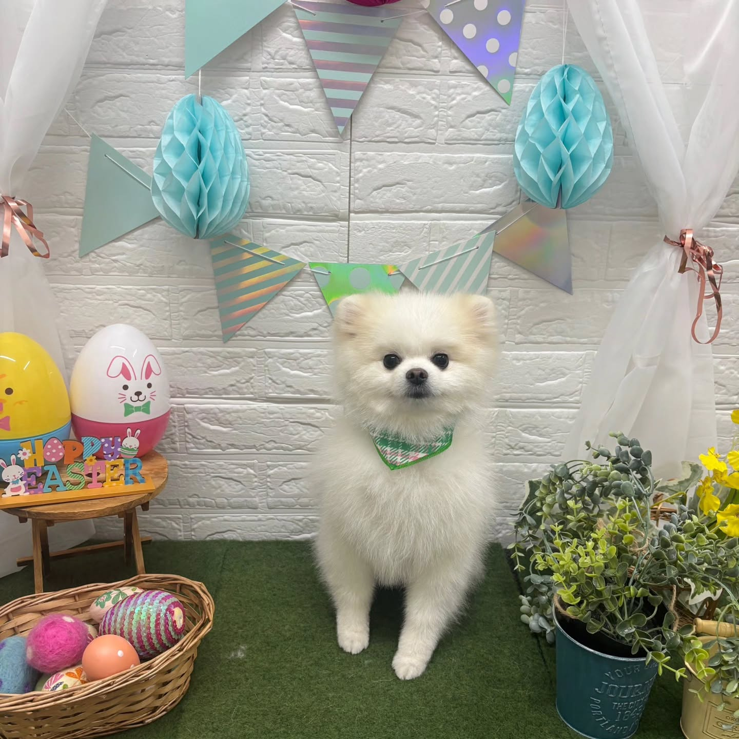 ๐ฅ๐ฅ๐ฅ๐ฅ๐ฅ๐ฅ๐ฅ๐ฅ๐ฅ๐ฅ