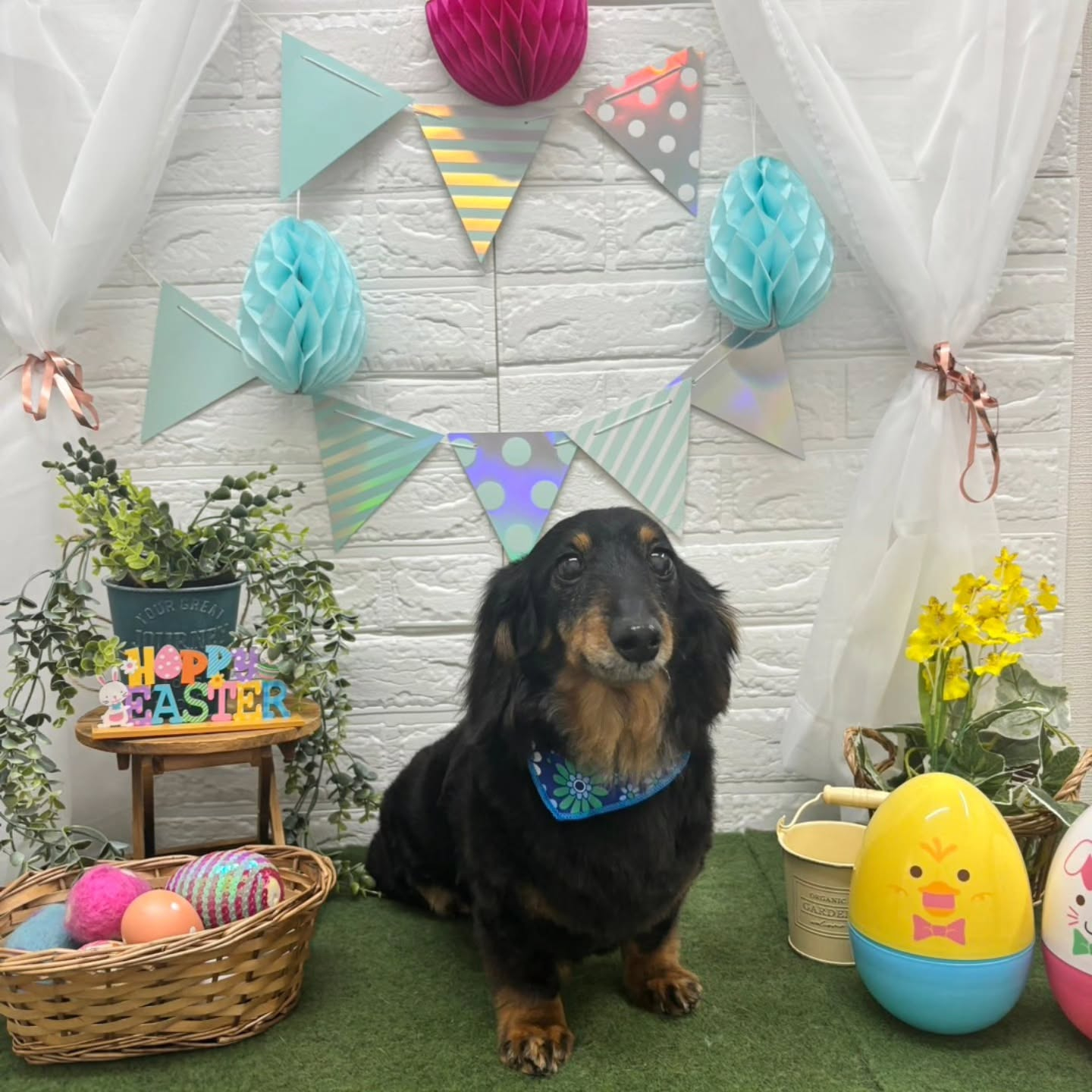 ๐ฅ๐ฅ๐ฅ๐ฅ๐ฅ๐ฅ๐ฅ๐ฅ๐ฅ๐ฅ