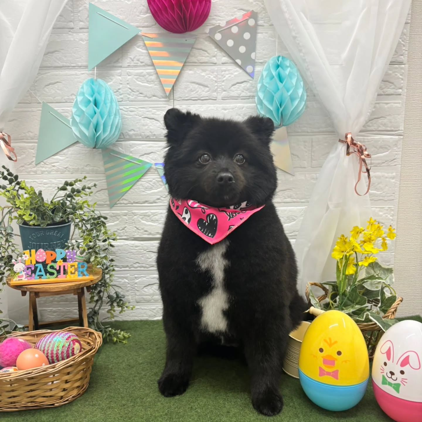 ๐ฅ๐ฅ๐ฅ๐ฅ๐ฅ๐ฅ๐ฅ๐ฅ๐ฅ๐ฅ