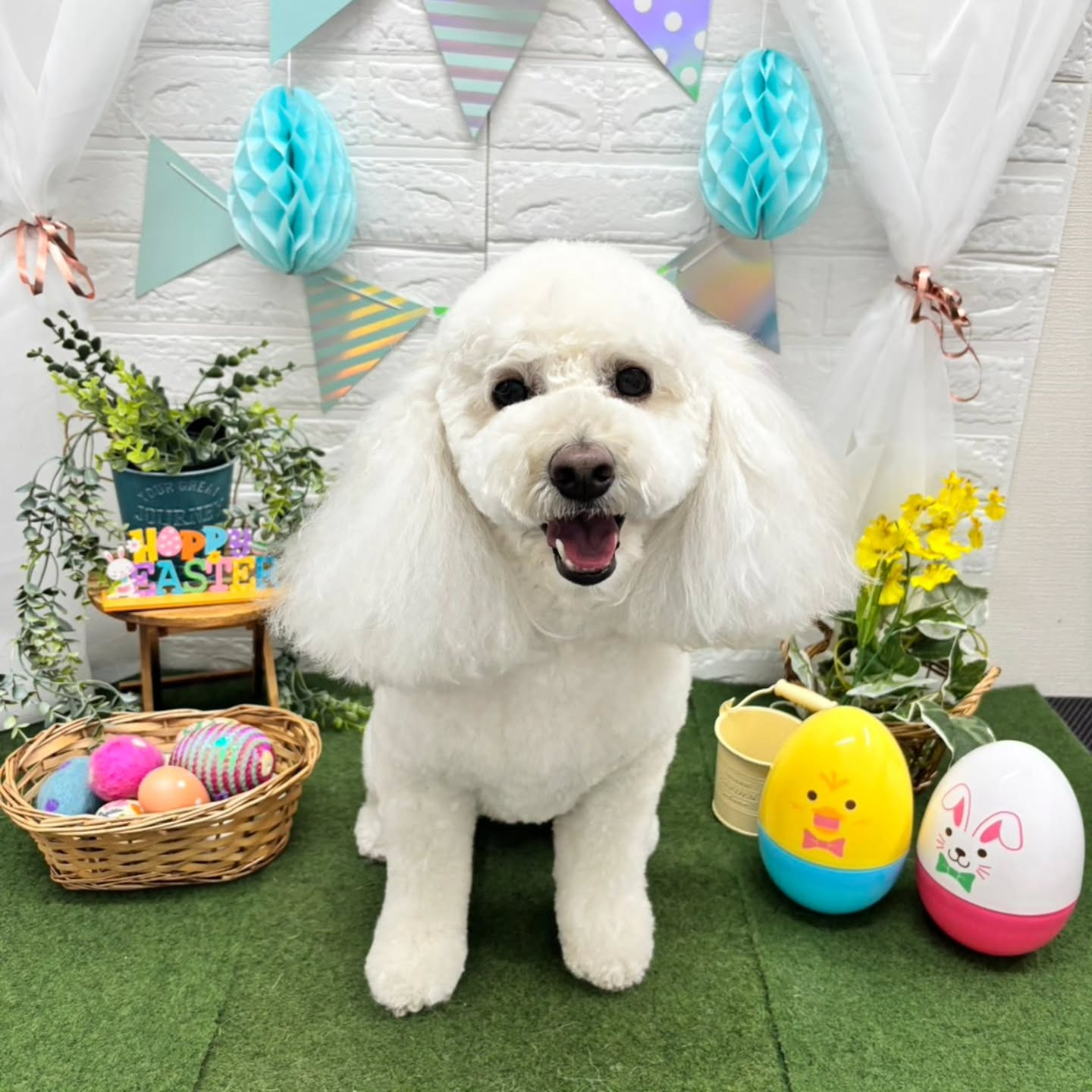 ๐ฅ๐ฅ๐ฅ๐ฅ๐ฅ๐ฅ๐ฅ๐ฅ๐ฅ๐ฅ