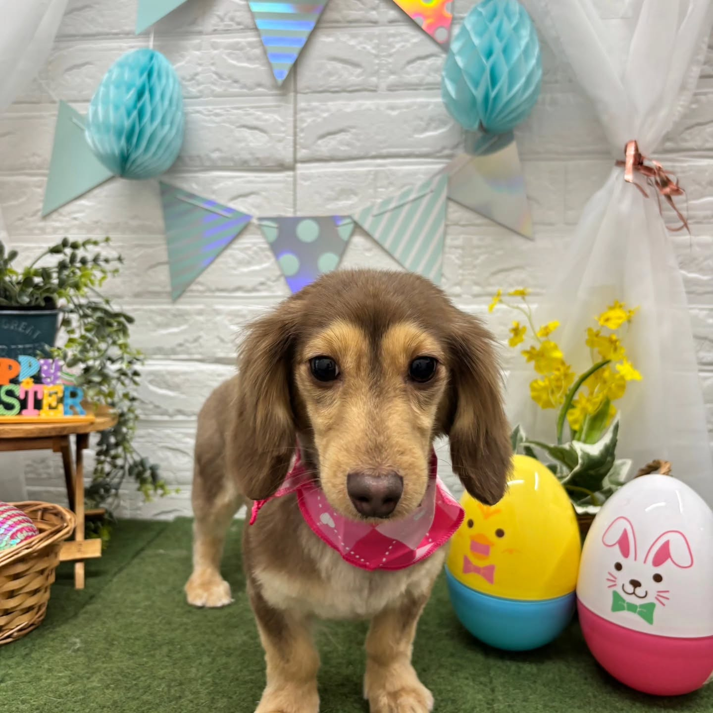 ๐ฅ๐ฅ๐ฅ๐ฅ๐ฅ๐ฅ๐ฅ๐ฅ๐ฅ