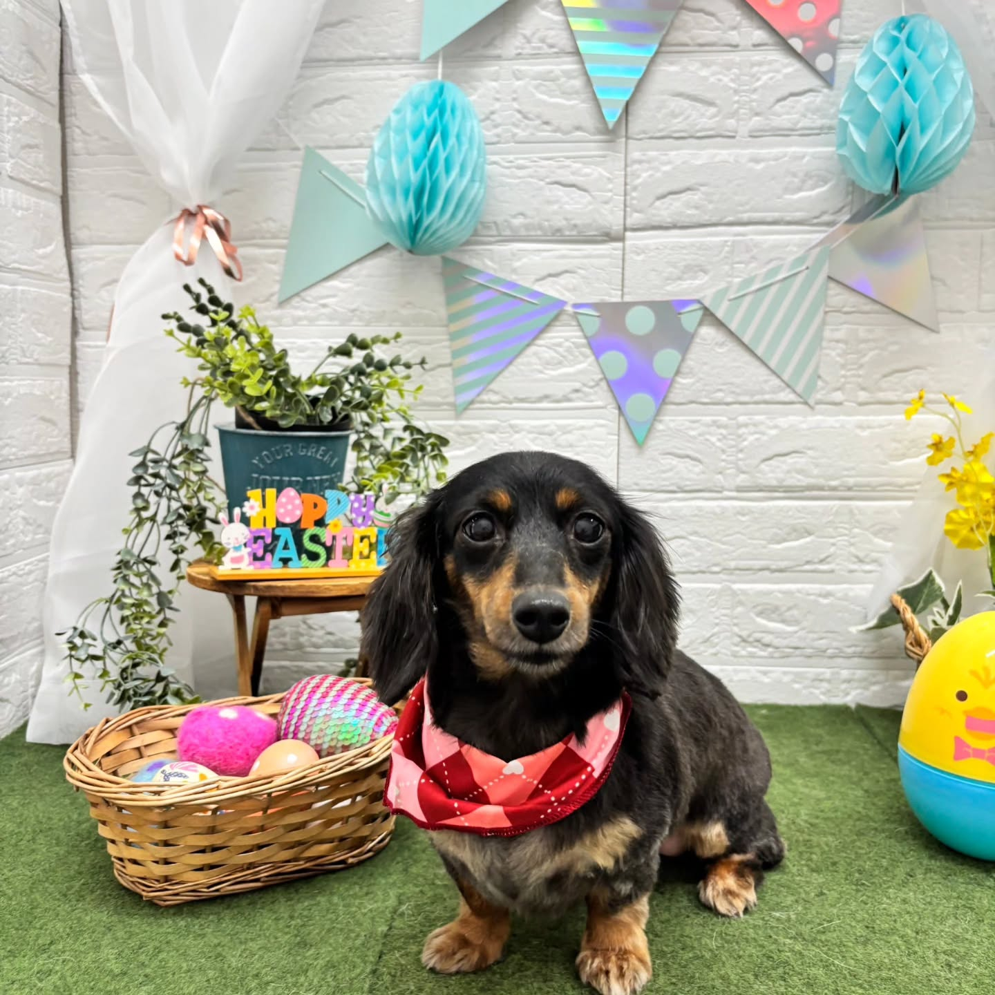 ๐ฅ๐ฅ๐ฅ๐ฅ๐ฅ๐ฅ๐ฅ๐ฅ๐ฅ