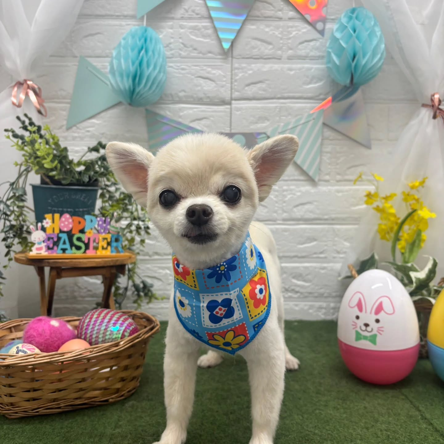 ๐ฅ๐ฅ๐ฅ๐ฅ๐ฅ๐ฅ๐ฅ๐ฅ๐ฅ