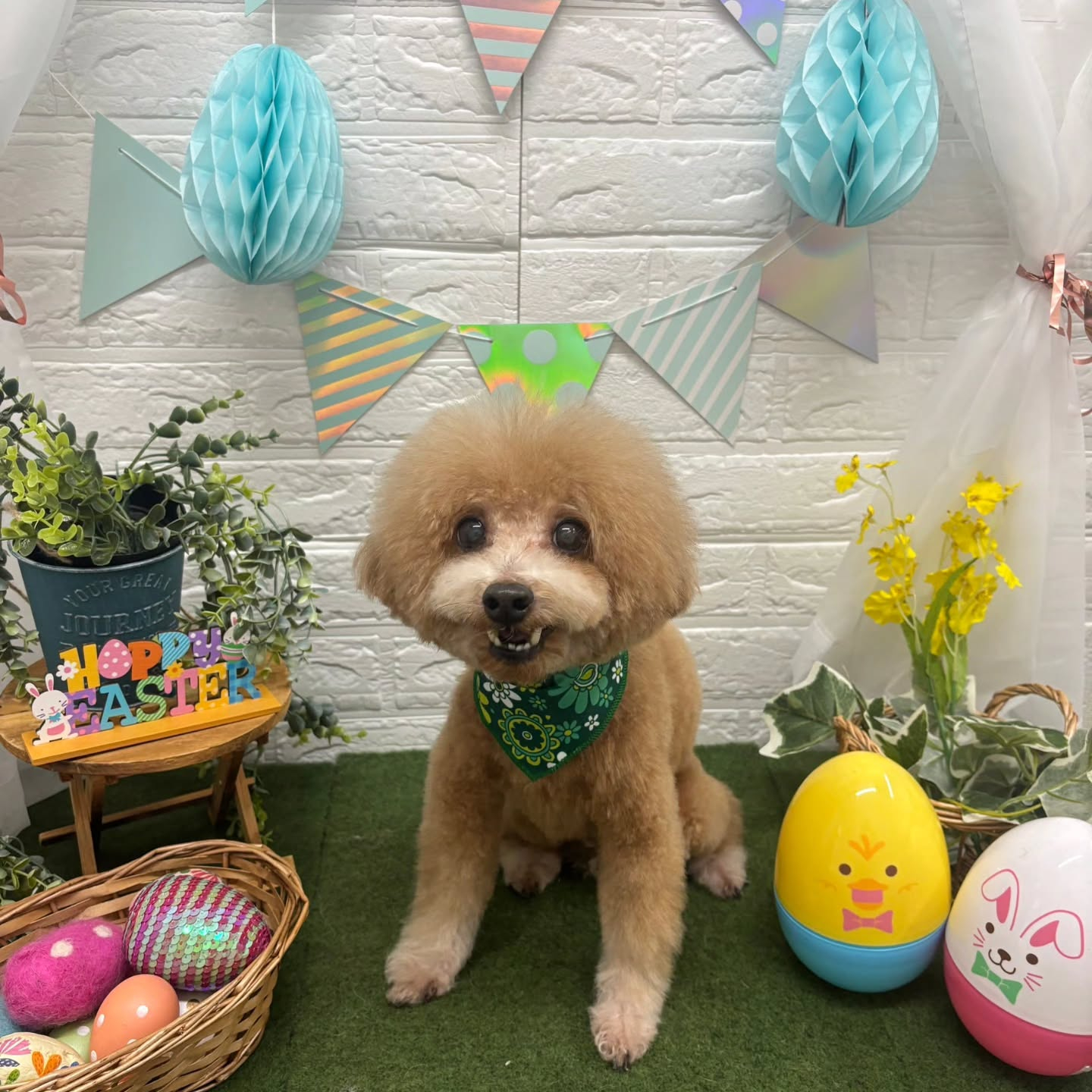 ๐ฅ๐ฅ๐ฅ๐ฅ๐ฅ๐ฅ๐ฅ๐ฅ๐ฅ