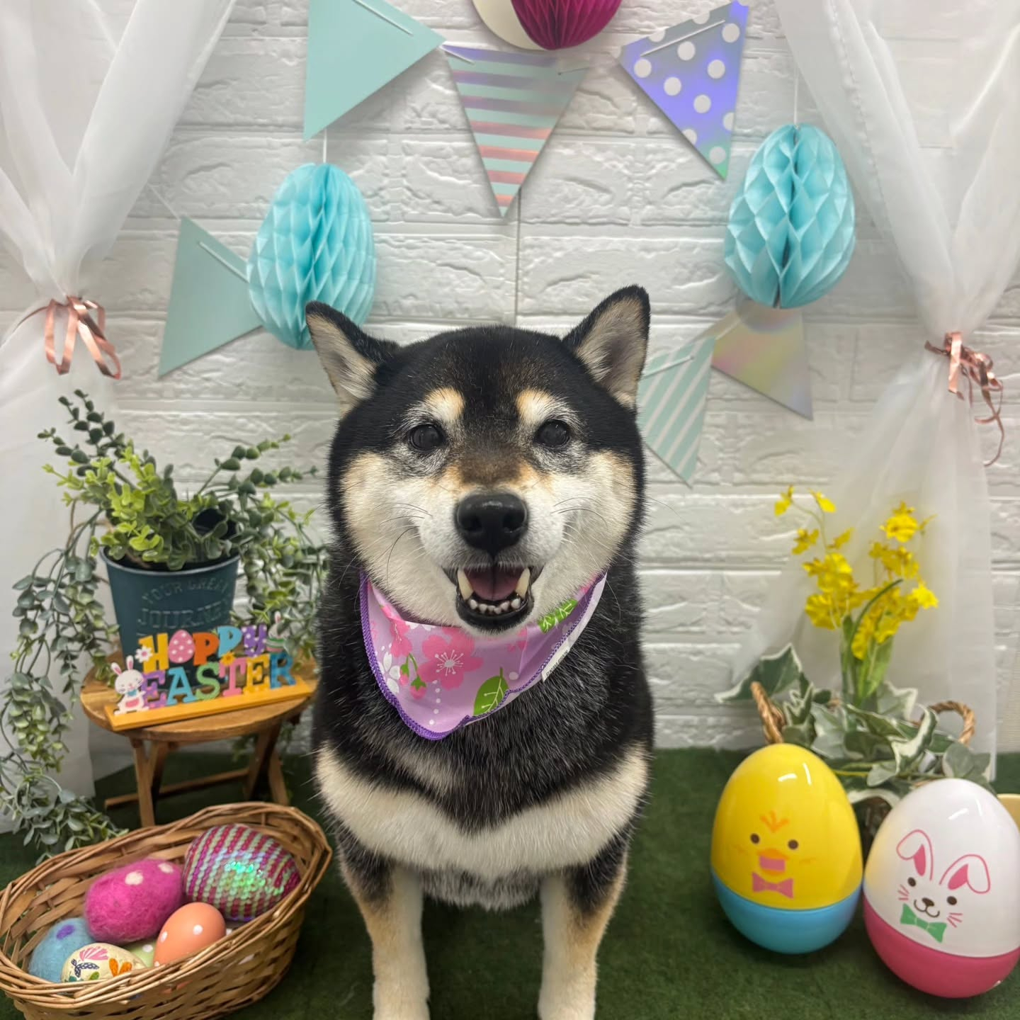 ๐ฅ๐ฅ๐ฅ๐ฅ๐ฅ๐ฅ๐ฅ๐ฅ๐ฅ