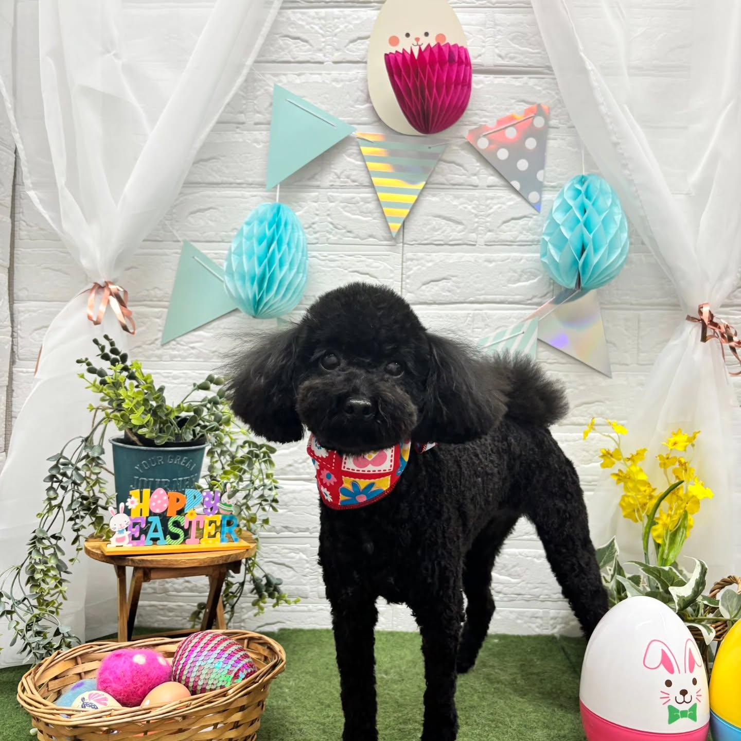 ๐ฅ๐ฅ๐ฅ๐ฅ๐ฅ๐ฅ๐ฅ๐ฅ๐ฅ