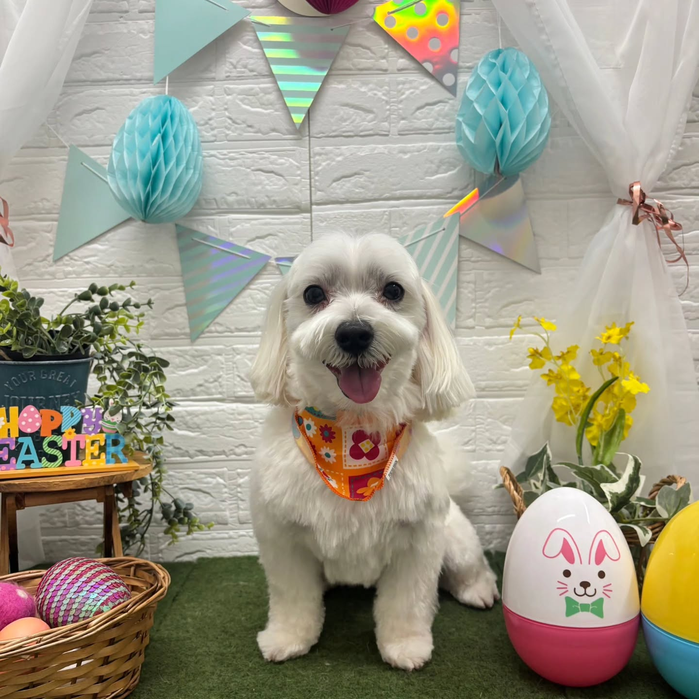 ๐ฅ๐ฅ๐ฅ๐ฅ๐ฅ๐ฅ๐ฅ๐ฅ๐ฅ