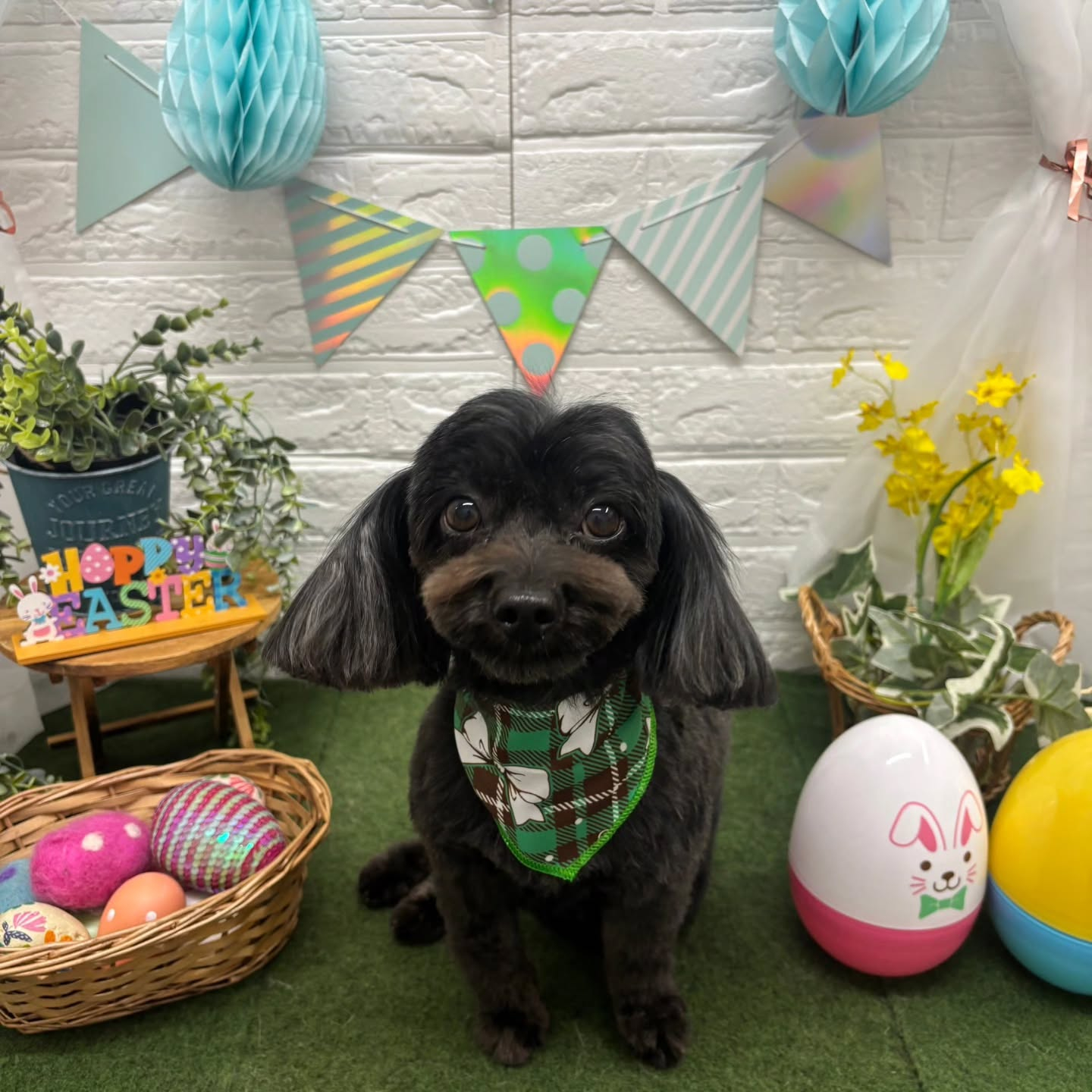 ๐ฅ๐ฅ๐ฅ๐ฅ๐ฅ๐ฅ๐ฅ๐ฅ๐ฅ