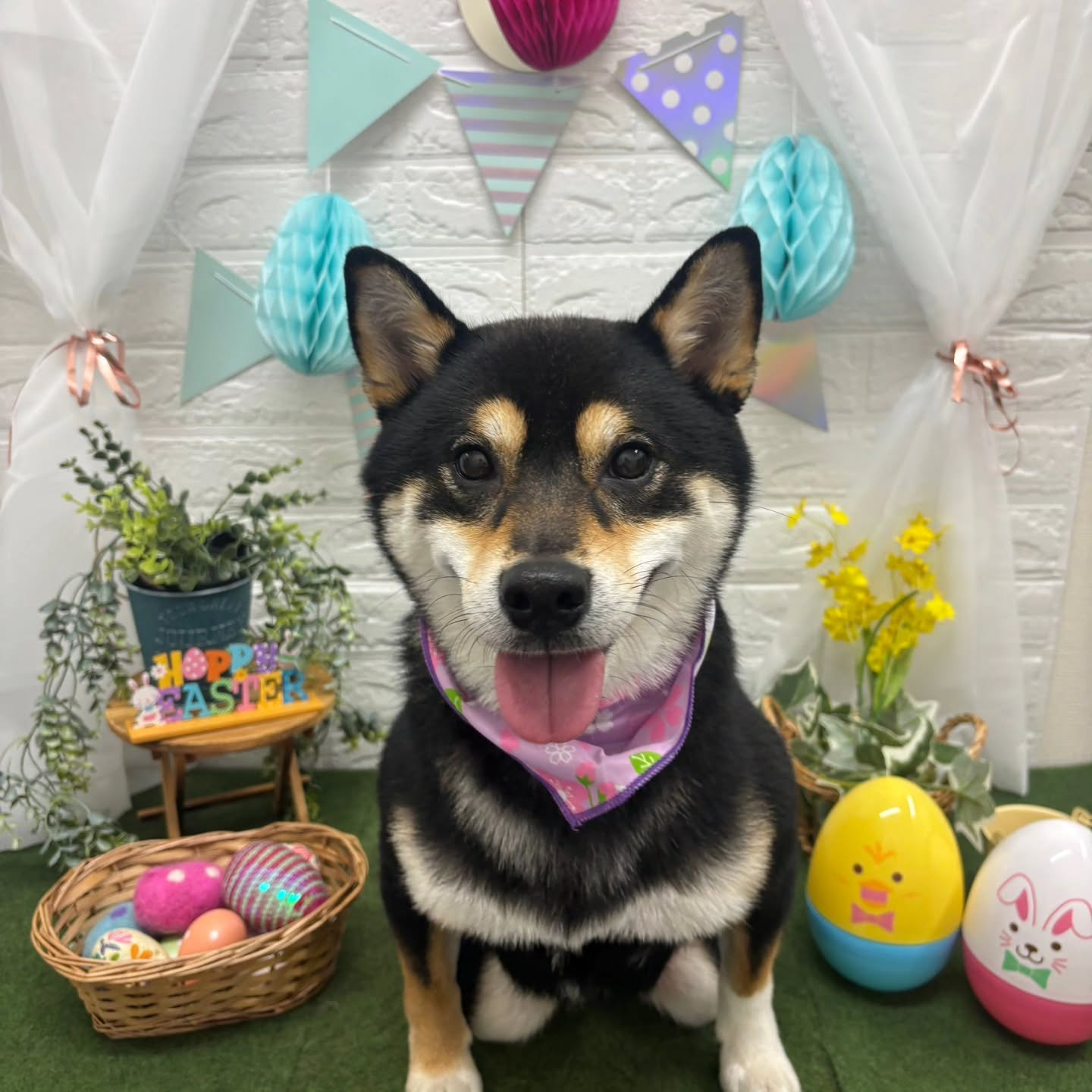 ๐ฅ๐ฅ๐ฅ๐ฅ๐ฅ๐ฅ๐ฅ๐ฅ๐ฅ