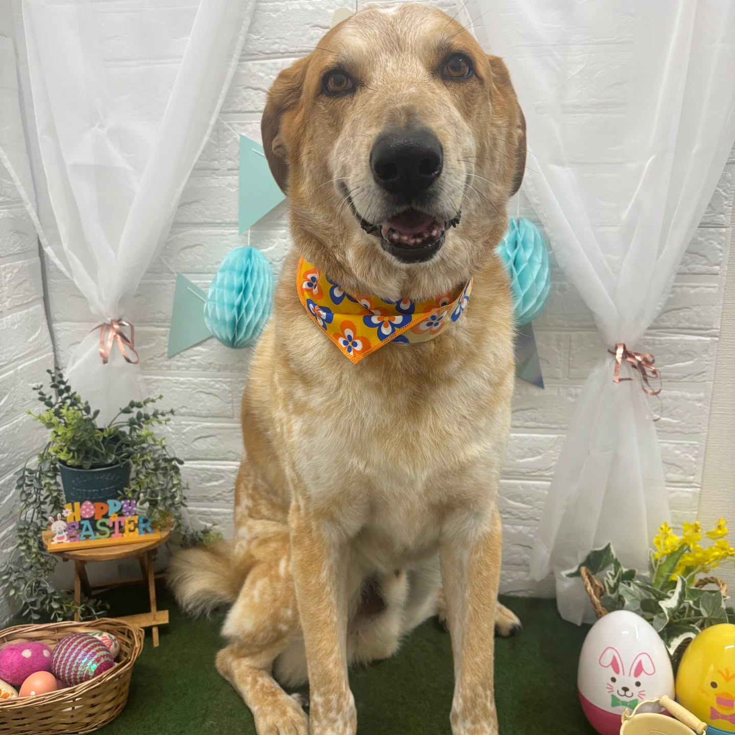 ๐ฅ๐ฅ๐ฅ๐ฅ๐ฅ๐ฅ๐ฅ๐ฅ๐ฅ