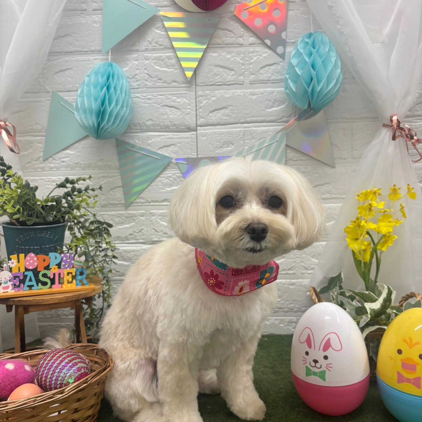 ๐ฅ๐ฅ๐ฅ๐ฅ๐ฅ๐ฅ๐ฅ๐ฅ๐ฅ