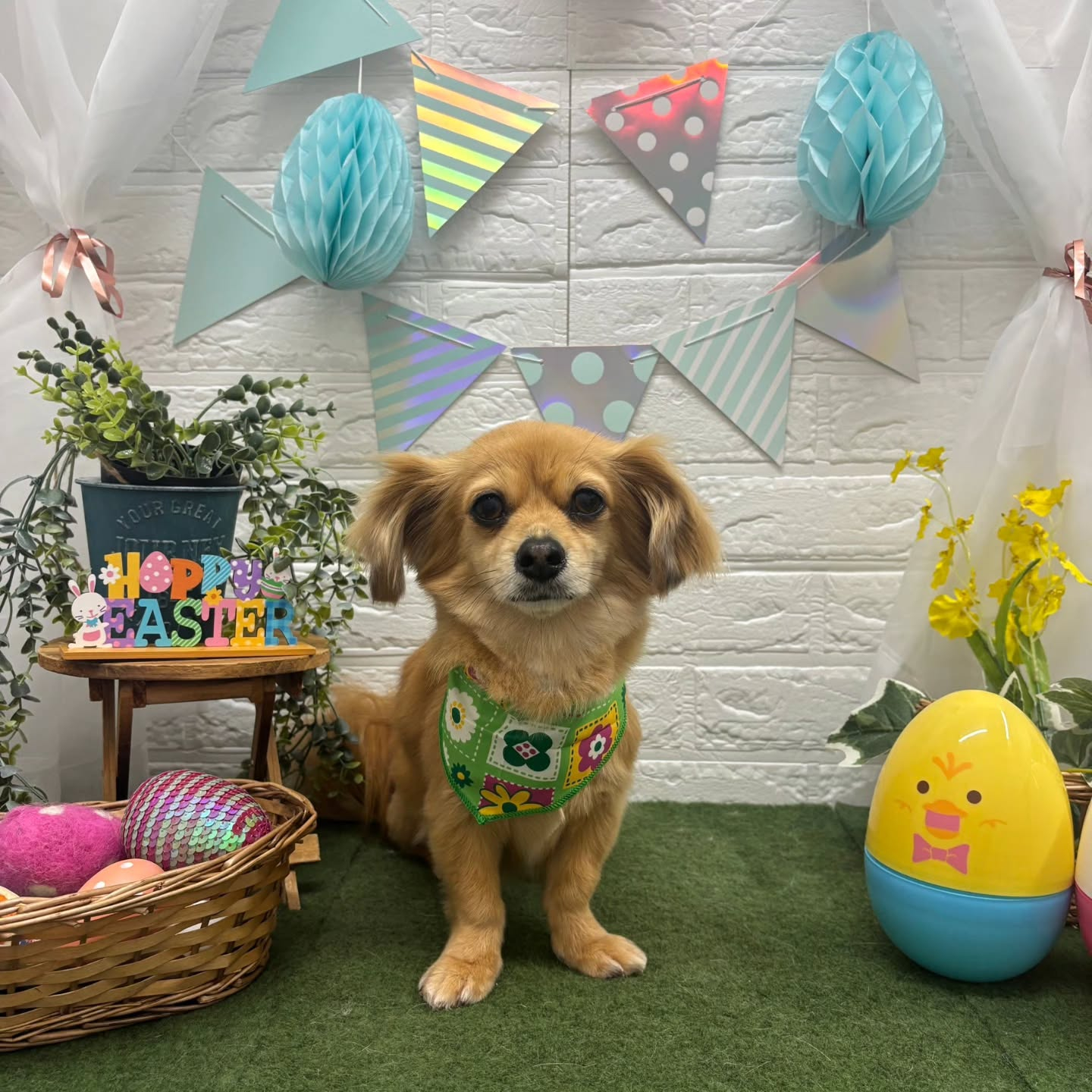 ๐ฐ๐ฐ๐ฐ๐ฐ๐ฐ๐ฐ๐ฐ๐ฐ๐ฐ