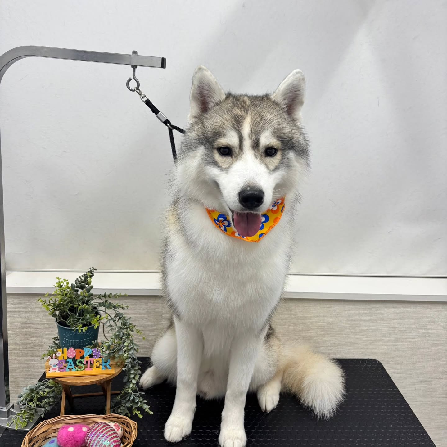 ๐ฐ๐ฐ๐ฐ๐ฐ๐ฐ๐ฐ๐ฐ๐ฐ๐ฐ