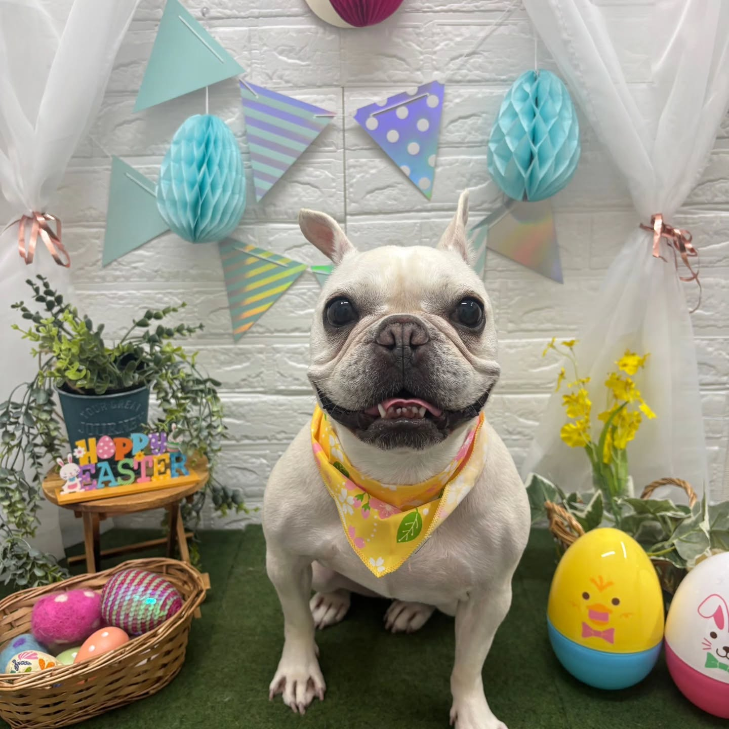 ๐ฐ๐ฐ๐ฐ๐ฐ๐ฐ๐ฐ๐ฐ๐ฐ๐ฐ